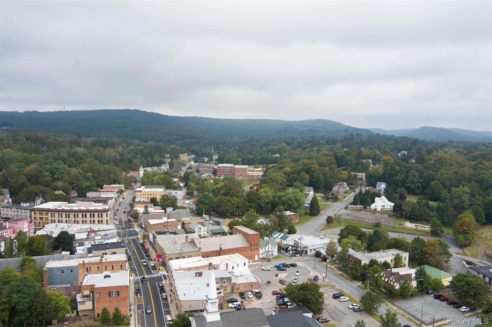 Single Family Webster  Sullivan County, NY 12754, MLS-910256-19