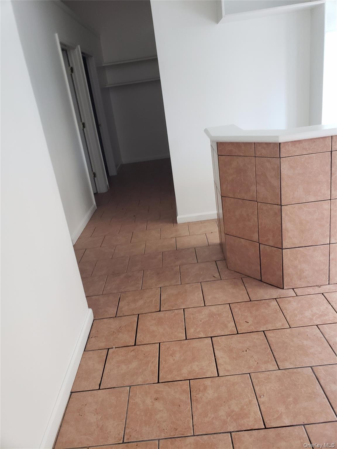 Commercial Lease Bathgate  Bronx, NY 10457, MLS-910281-2