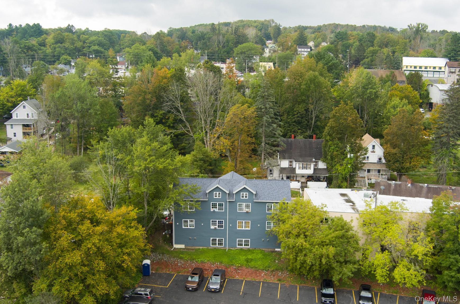 Single Family Webster Sullivan County, NY 12754, MLS-910314-4