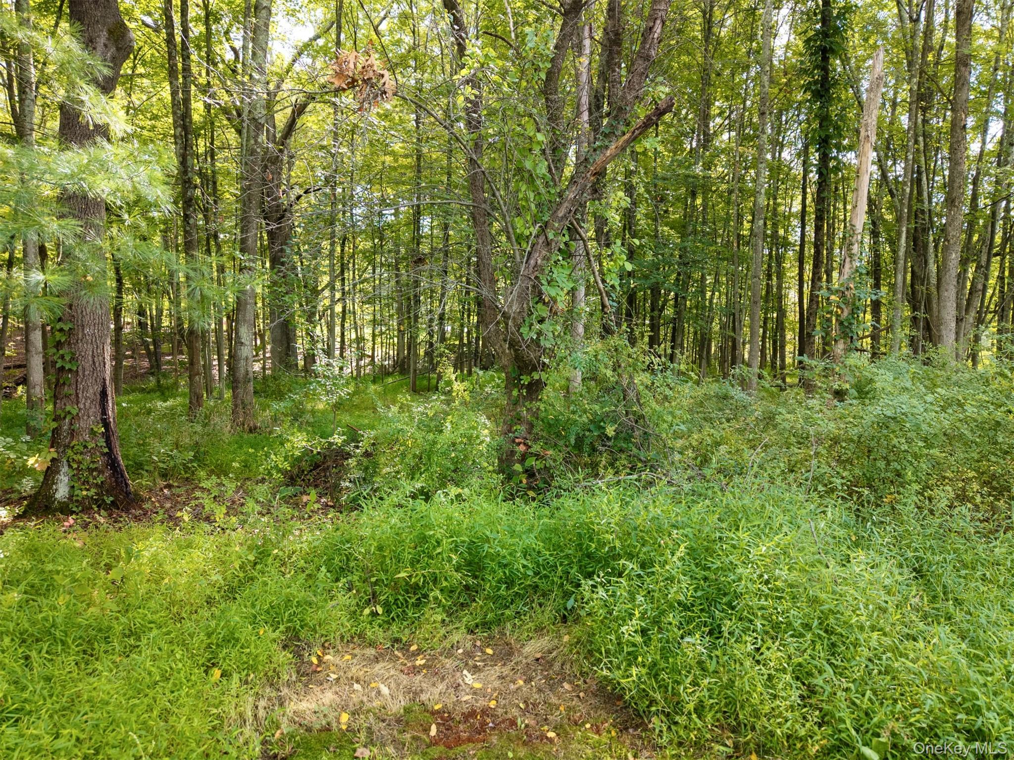 Single Family Maple  Ulster County, NY 12471, MLS-910410-41