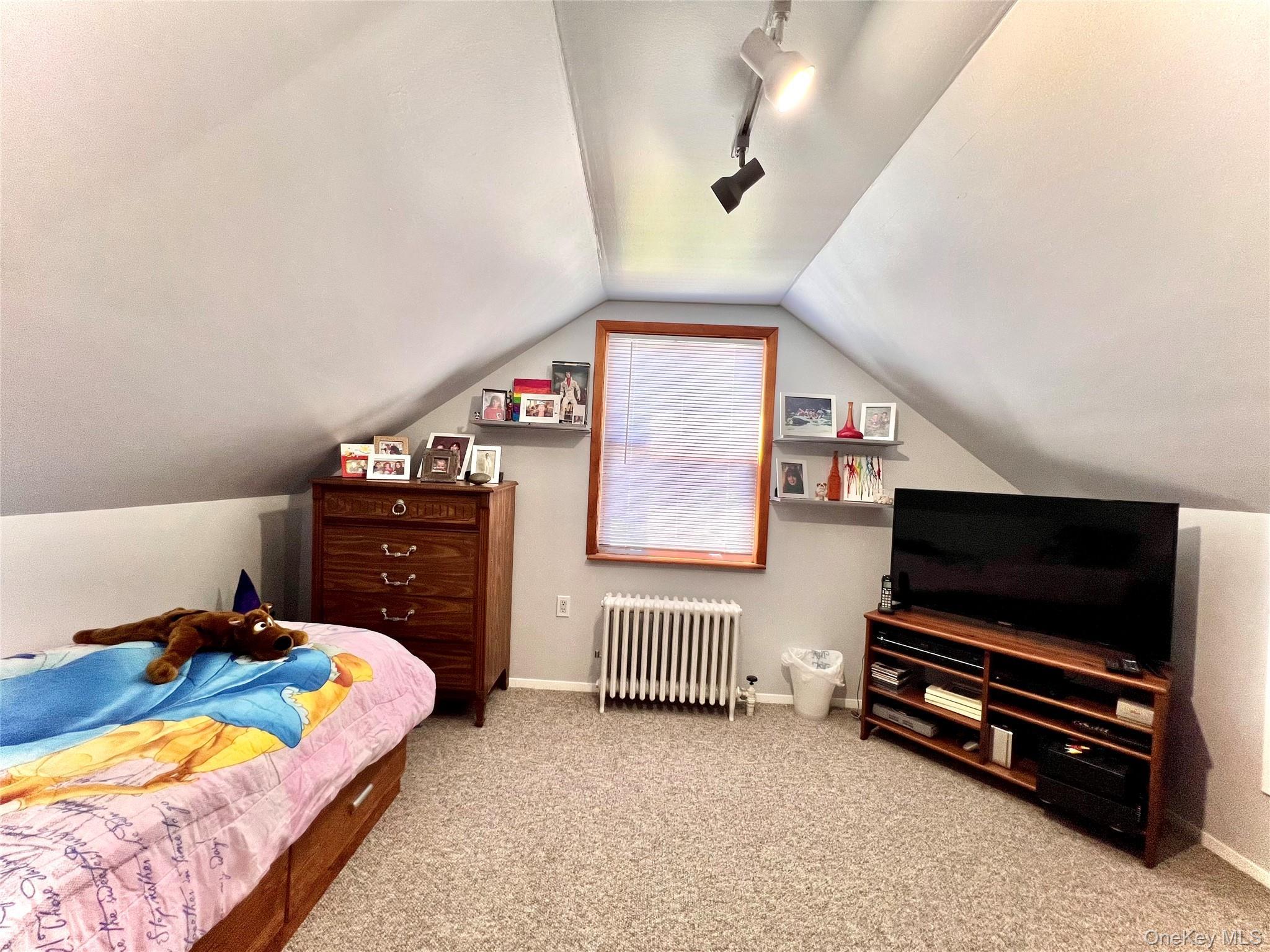 Single Family 251st Queens, NY 11426, MLS-910441-27