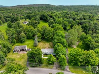 Single Family Hibernia Road Dutchess County, NY 12578, MLS-910500-20