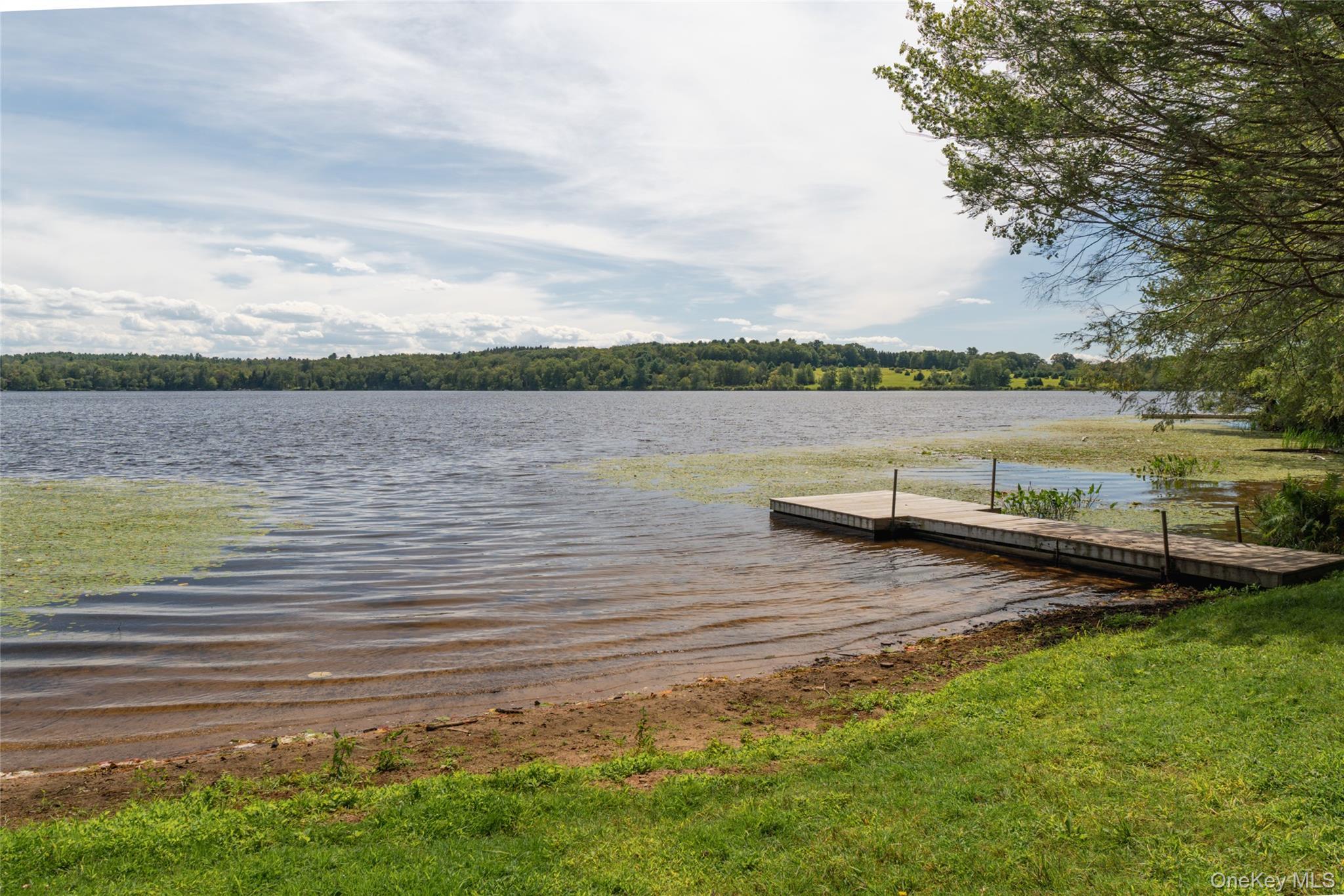 Single Family Deer Meadow Sullivan County, NY 12720, MLS-910517-40