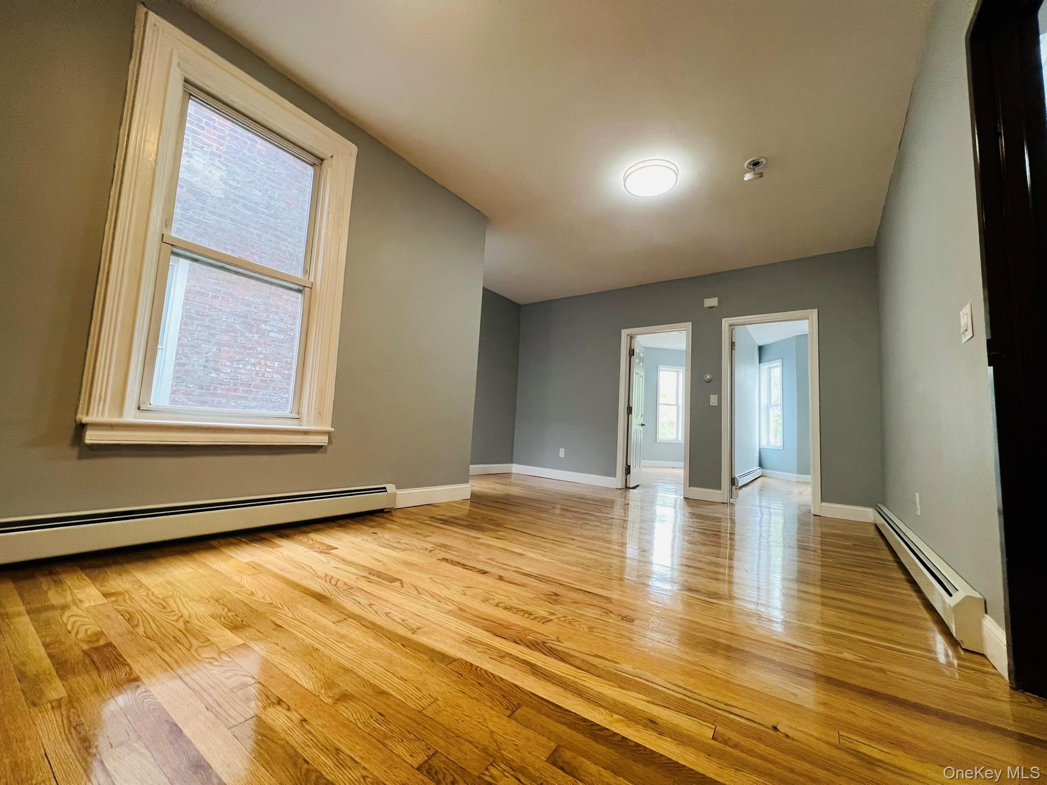 Single Family Chestnut Street  Brooklyn, NY 11208, MLS-910541-18