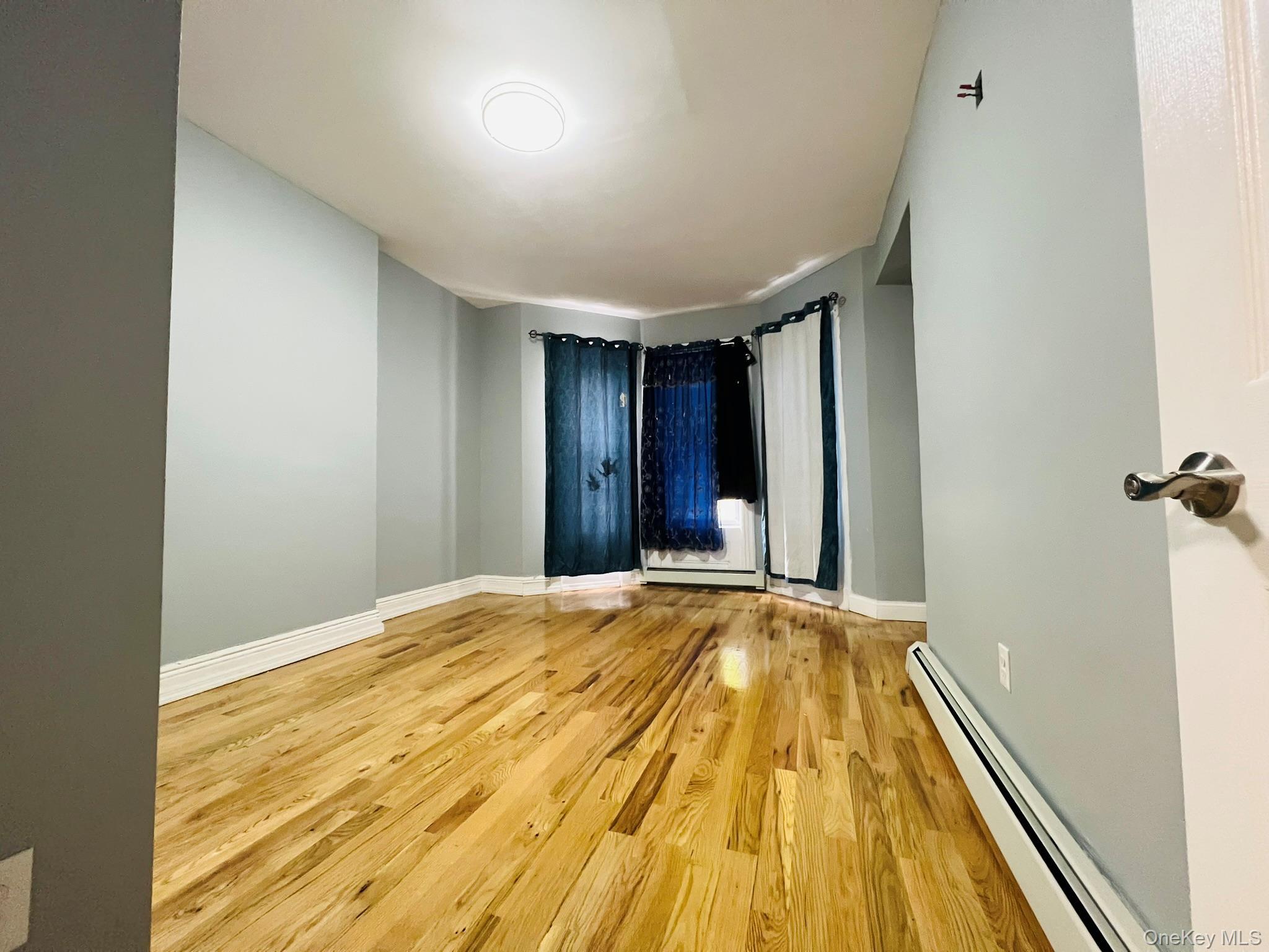 Single Family Chestnut Street  Brooklyn, NY 11208, MLS-910541-2