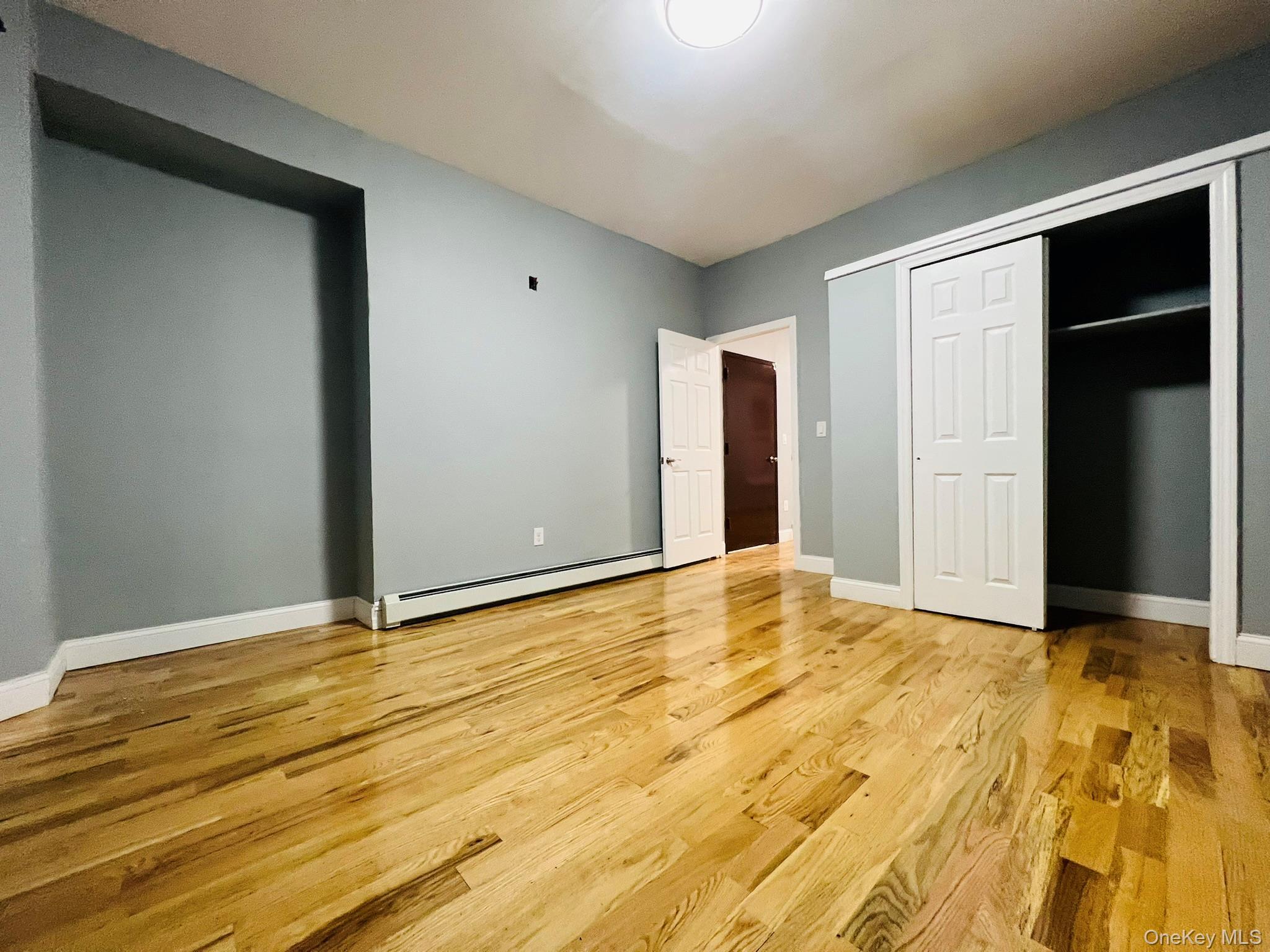 Single Family Chestnut Street  Brooklyn, NY 11208, MLS-910541-4