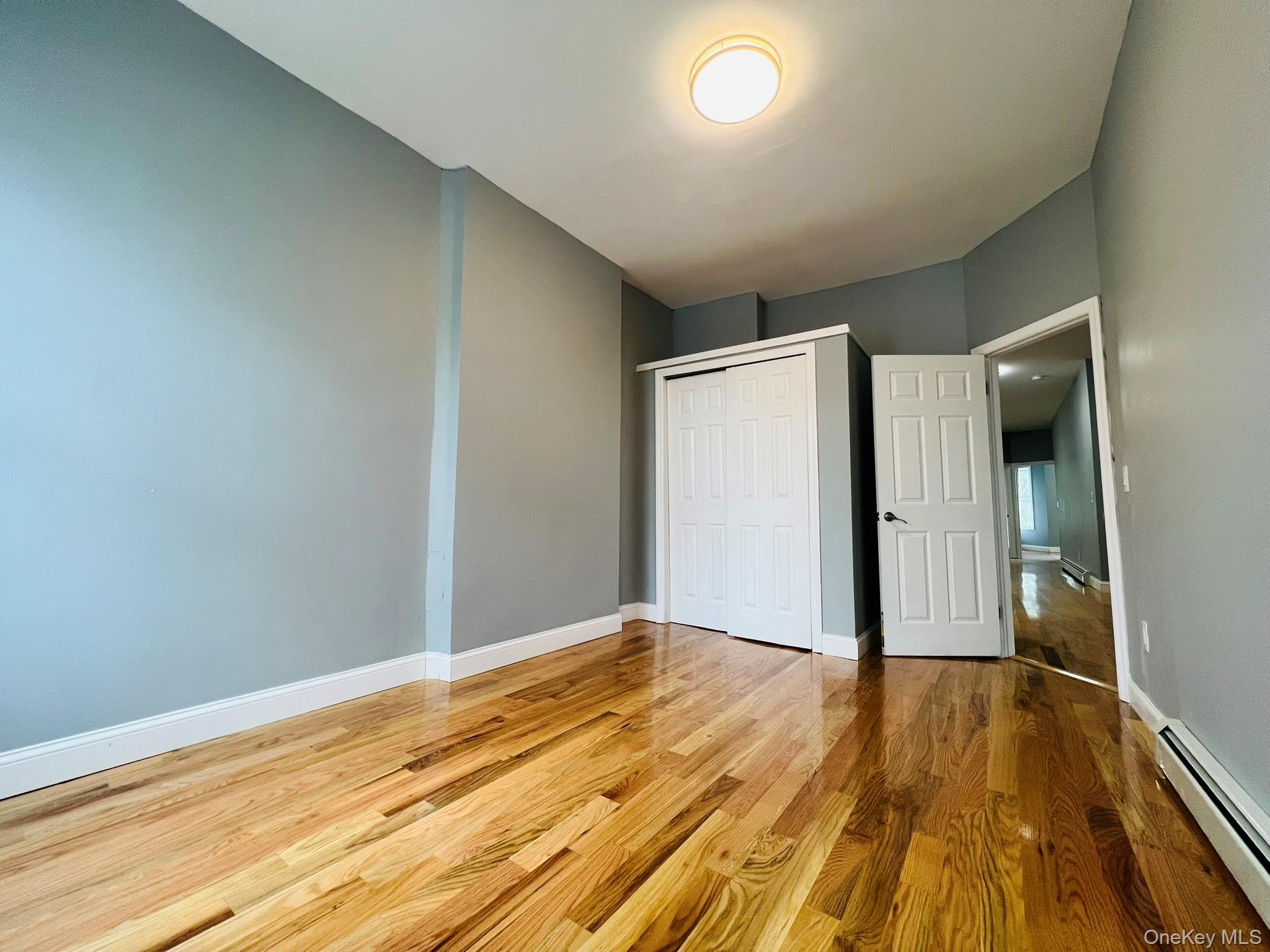 Single Family Chestnut Street  Brooklyn, NY 11208, MLS-910541-8