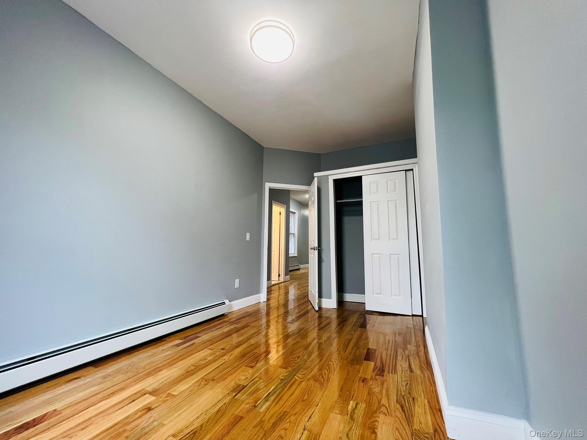 Single Family Chestnut Street  Brooklyn, NY 11208, MLS-910541-9