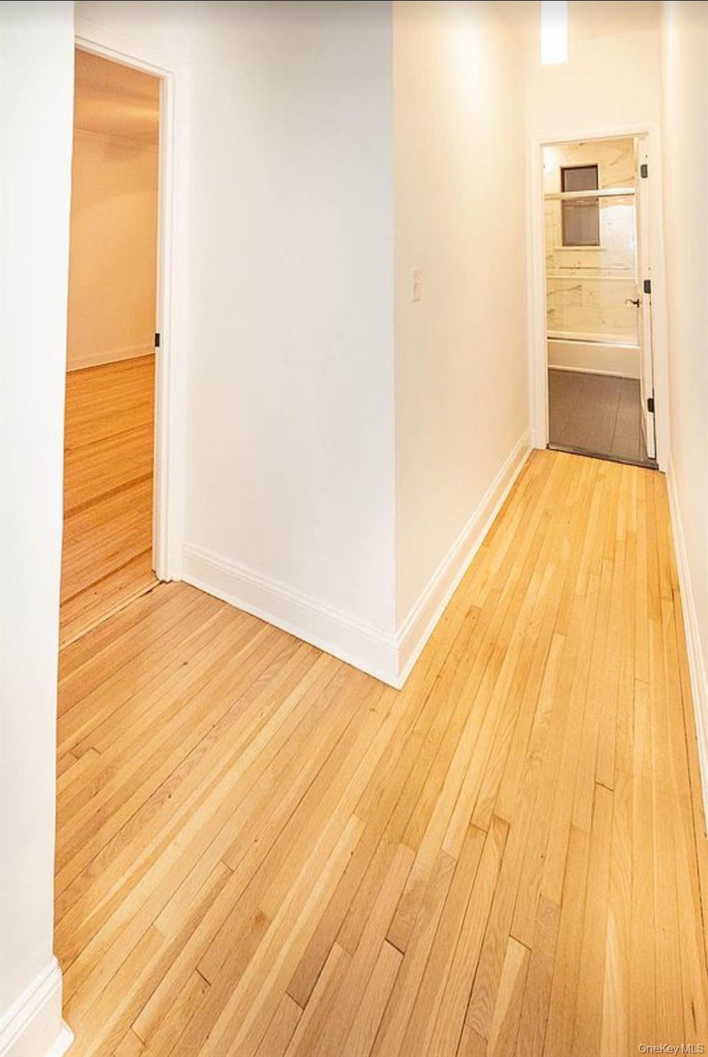 Condo 41st  Queens, NY 11104, MLS-910545-31