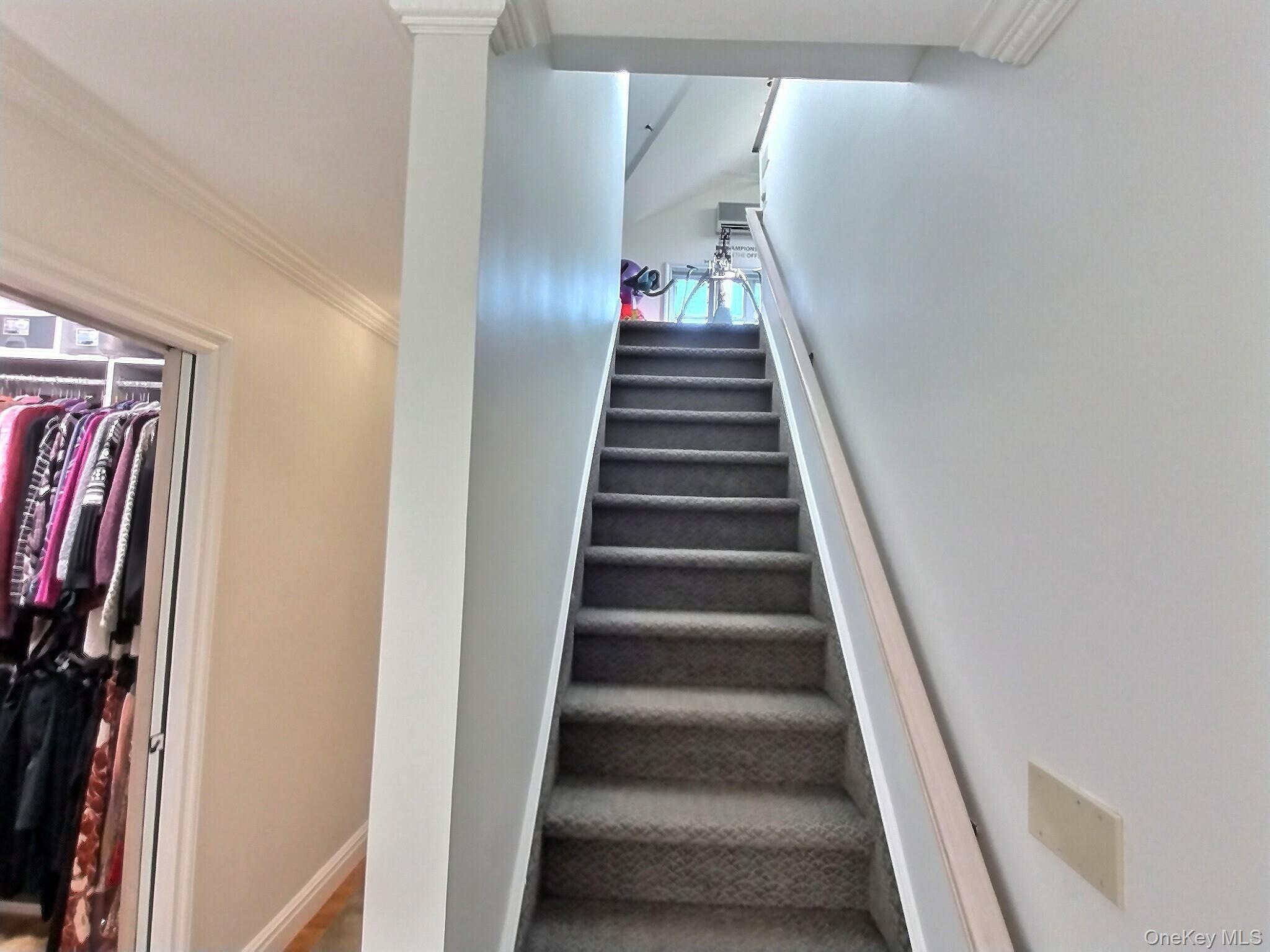 Single Family Susan Nassau County, NY 11552, MLS-910549-25