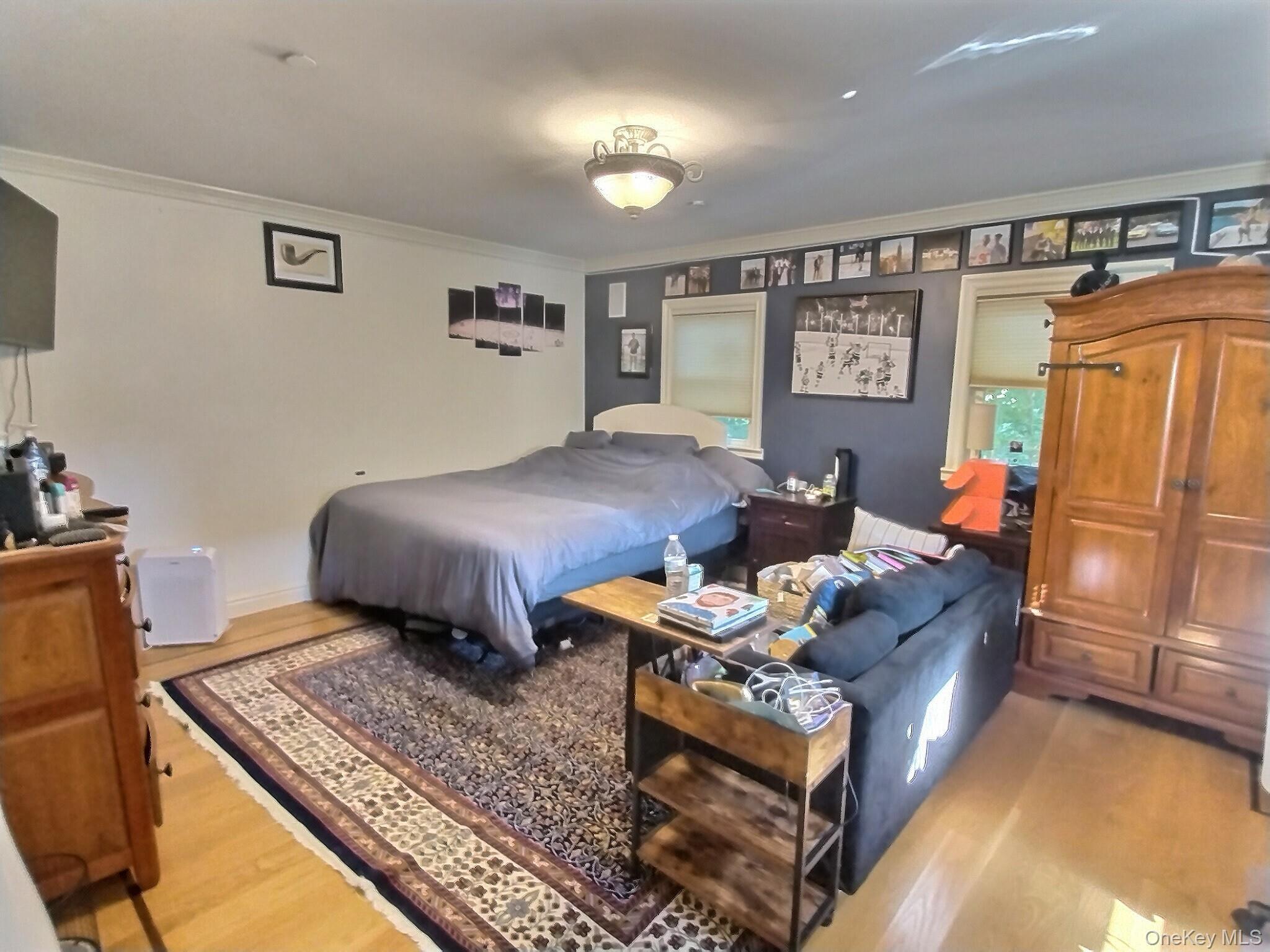 Single Family Susan Nassau County, NY 11552, MLS-910549-32