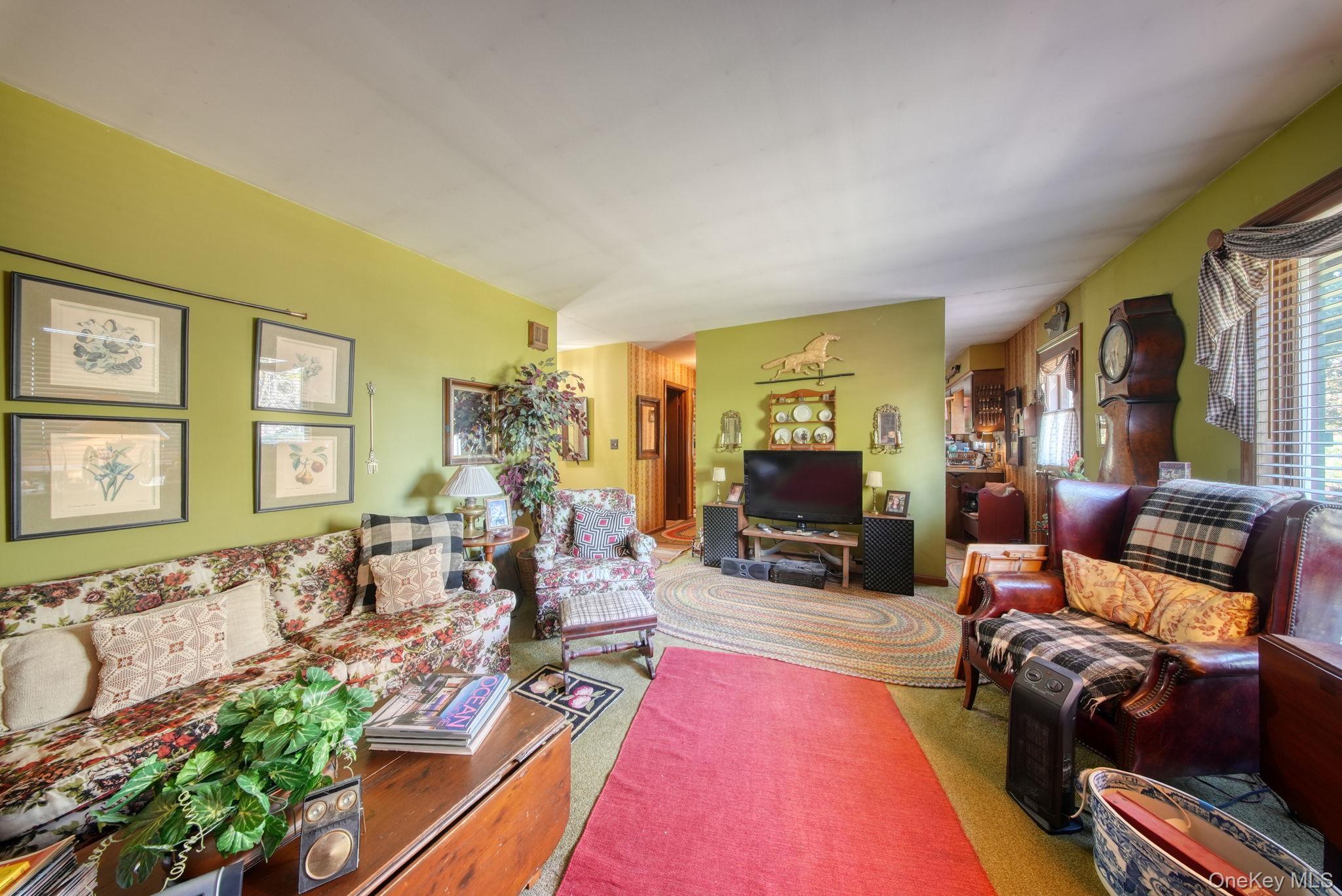 Single Family Hall Sullivan County, NY 12740, MLS-910591-13