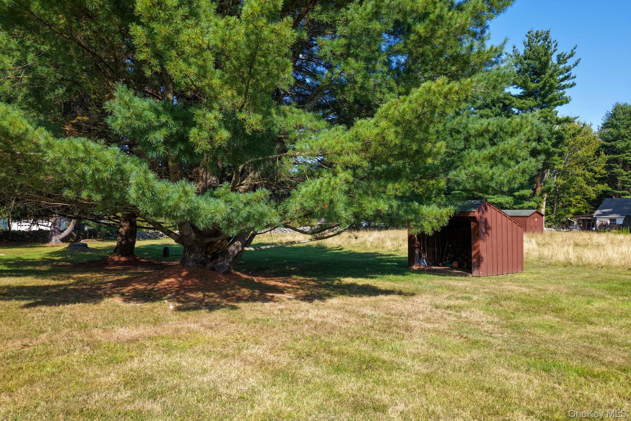 Single Family Hall Sullivan County, NY 12740, MLS-910591-29