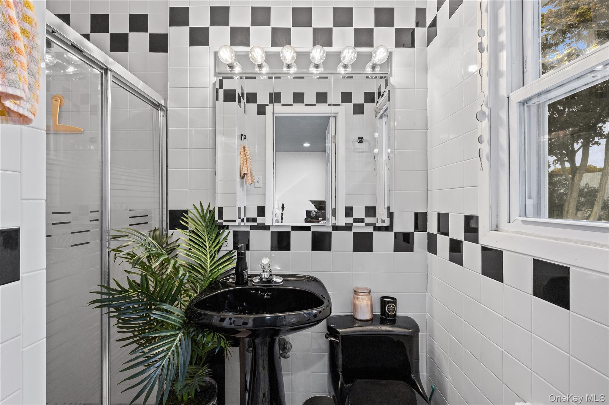 Single Family Tonopah  Nassau County, NY 11783, MLS-910694-29