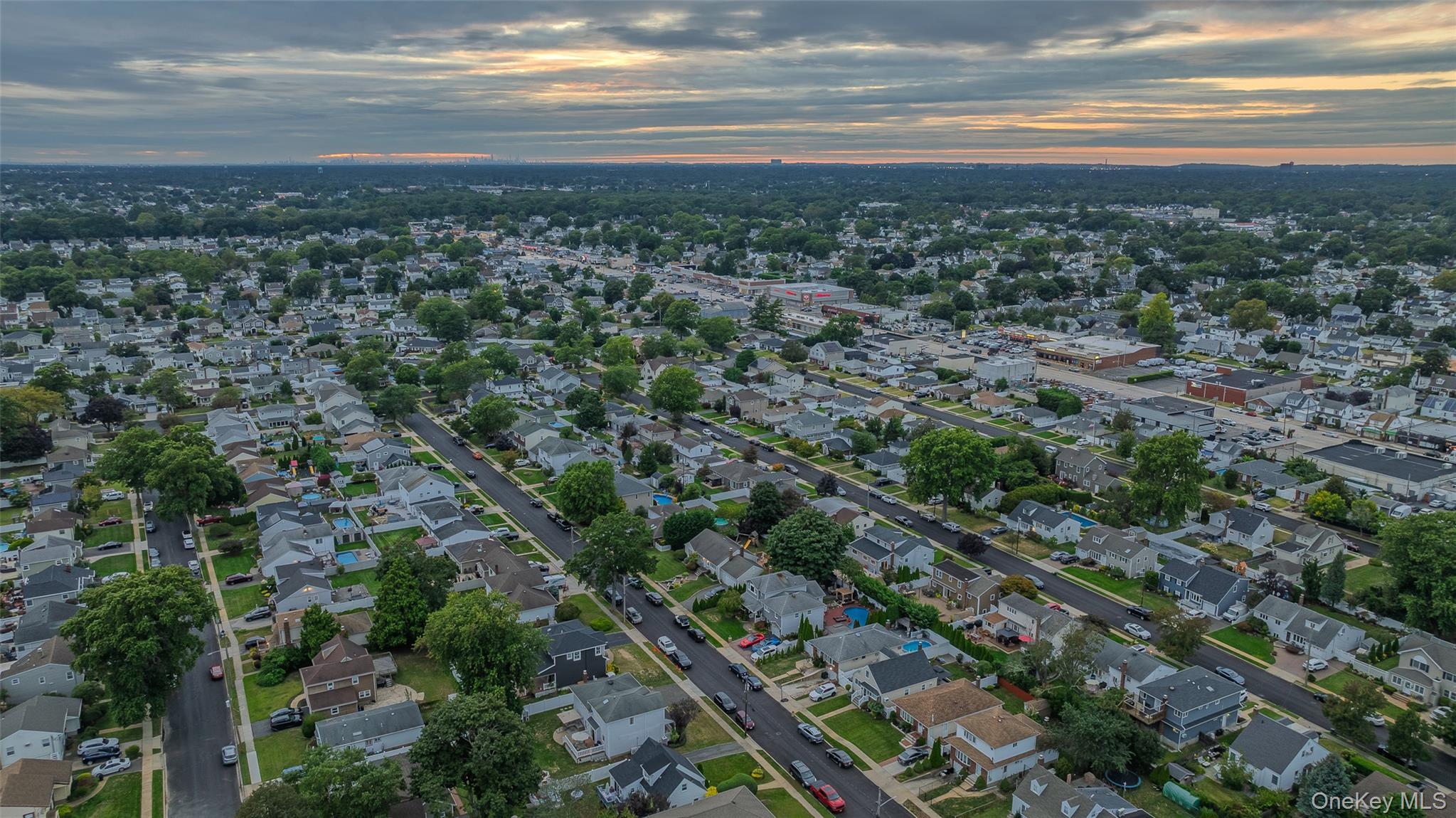 Single Family Tonopah  Nassau County, NY 11783, MLS-910694-46