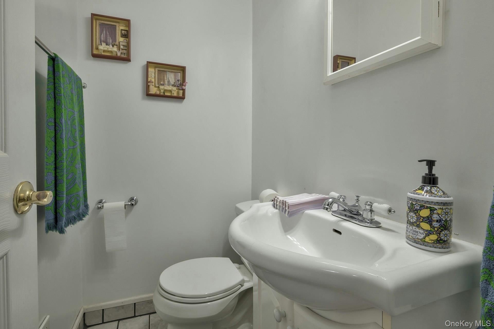 Single Family Hill Suffolk County, NY 11787, MLS-910728-19