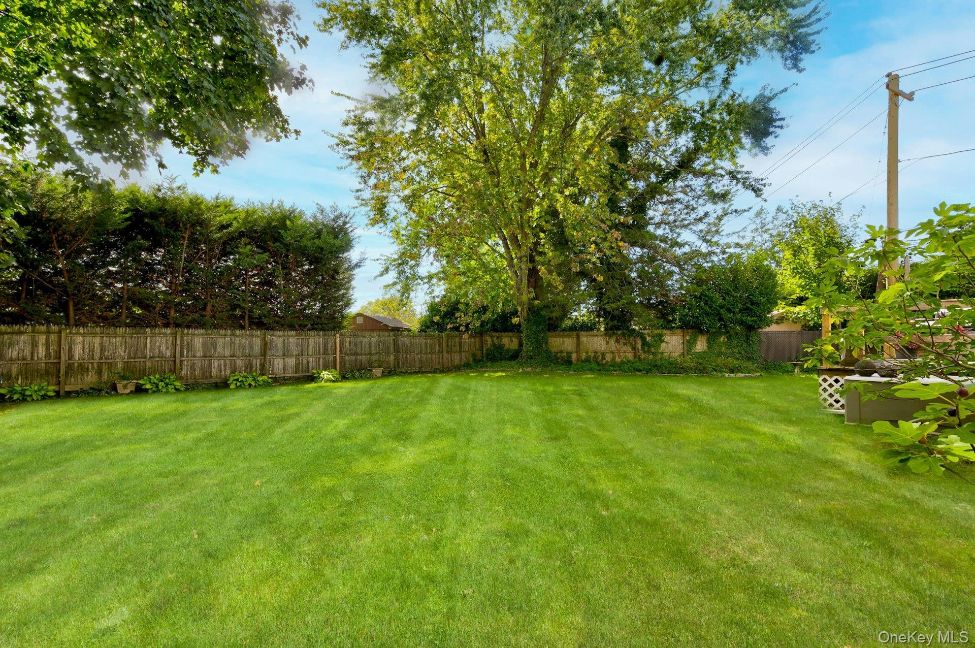 Single Family Hill Suffolk County, NY 11787, MLS-910728-30