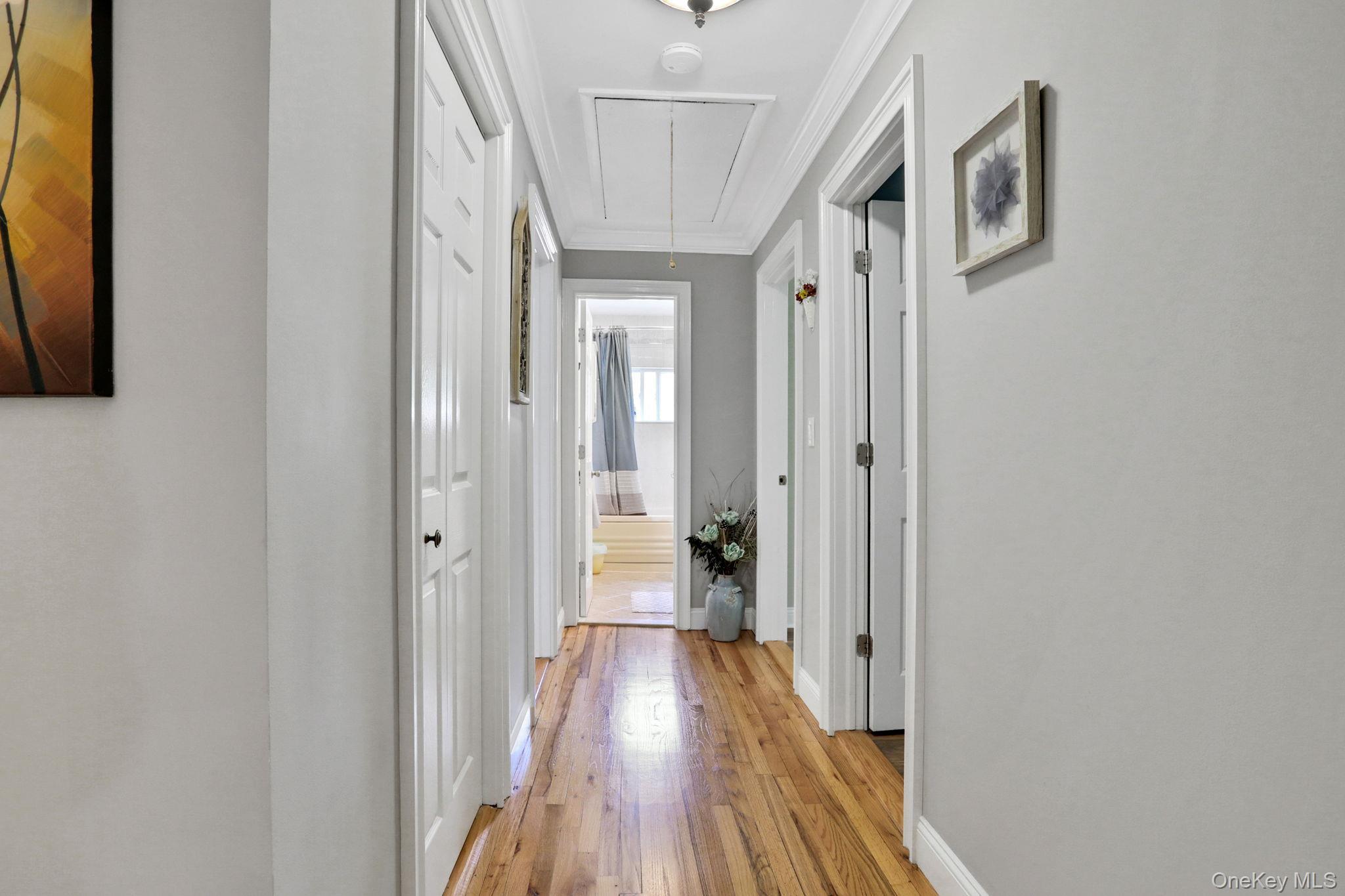 Single Family Chestnut  Orange County, NY 12553, MLS-910822-29