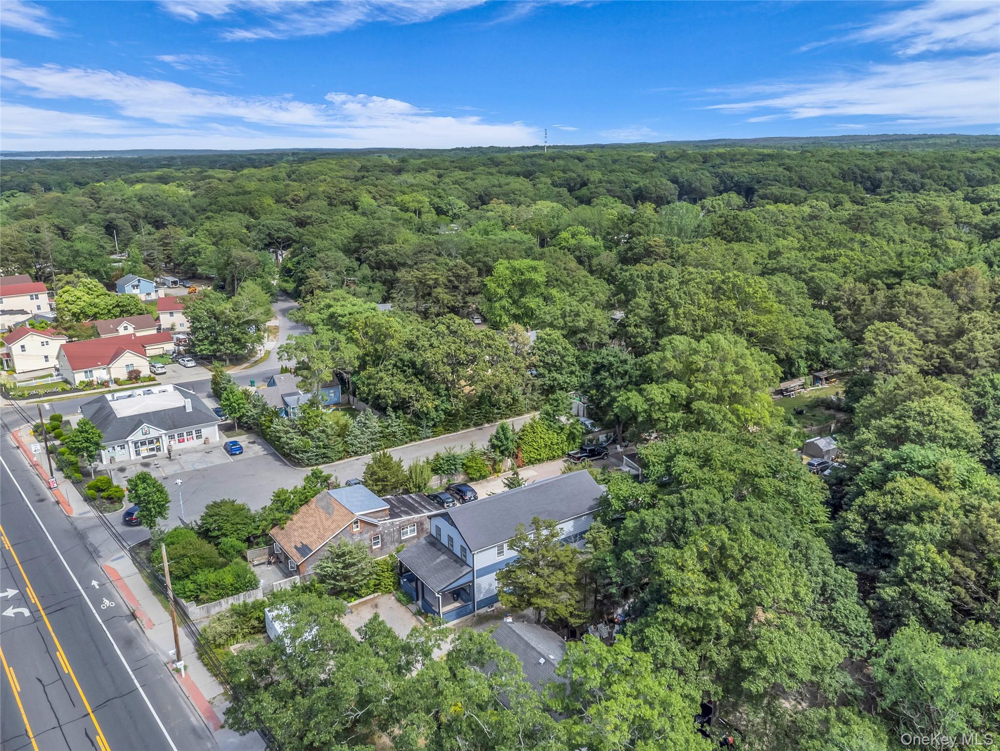 Single Family Flanders Suffolk County, NY 11901, MLS-910832-2