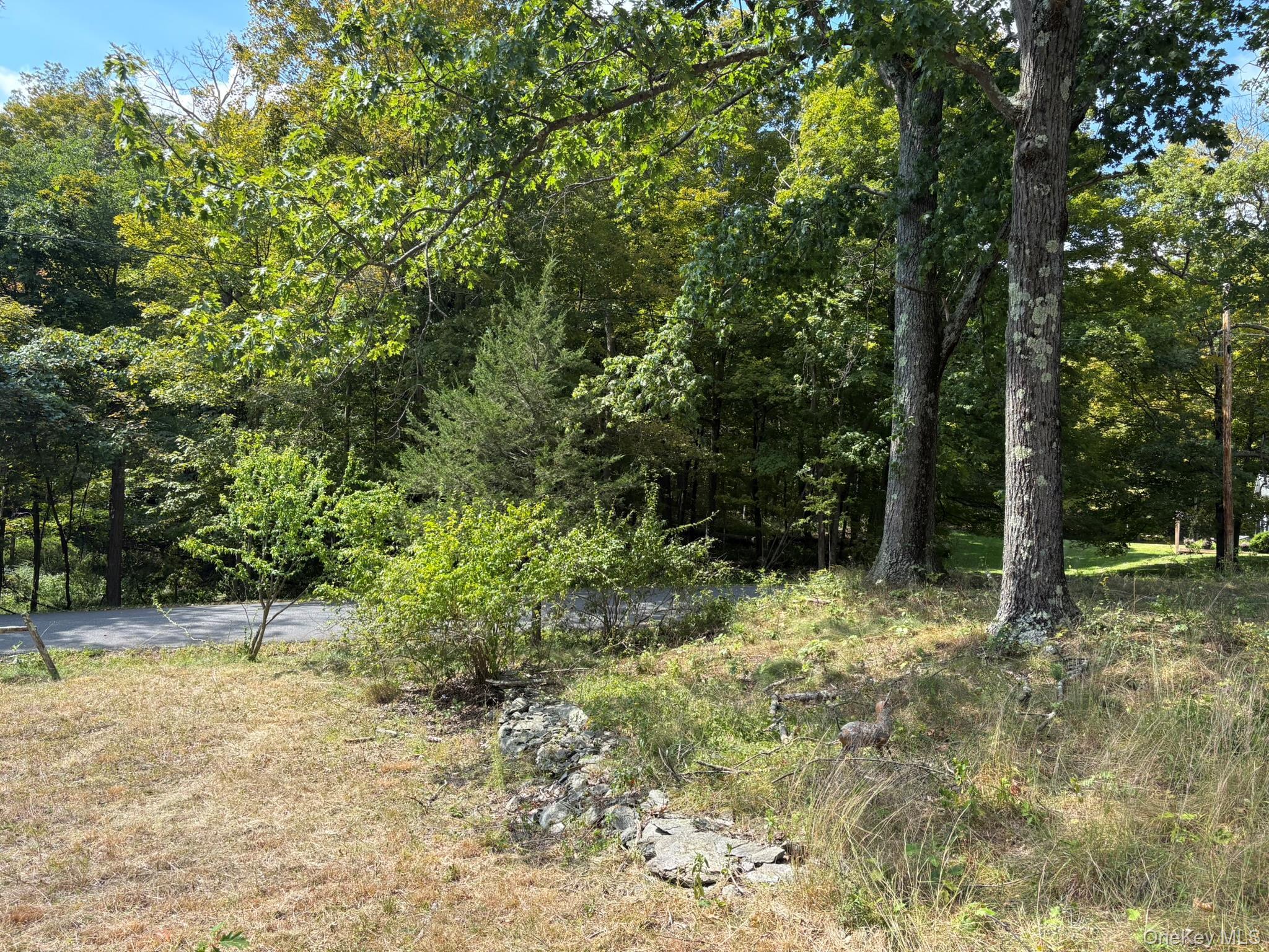 Single Family Pond Lilly  Columbia County, NY 12502, MLS-910860-6
