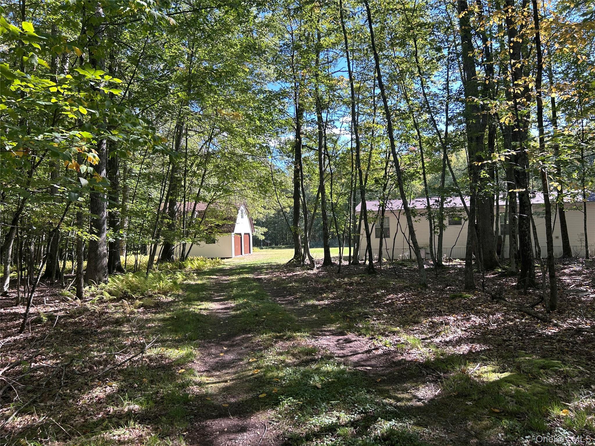 Single Family County Road 114 Sullivan County, NY 12726, MLS-910891-2