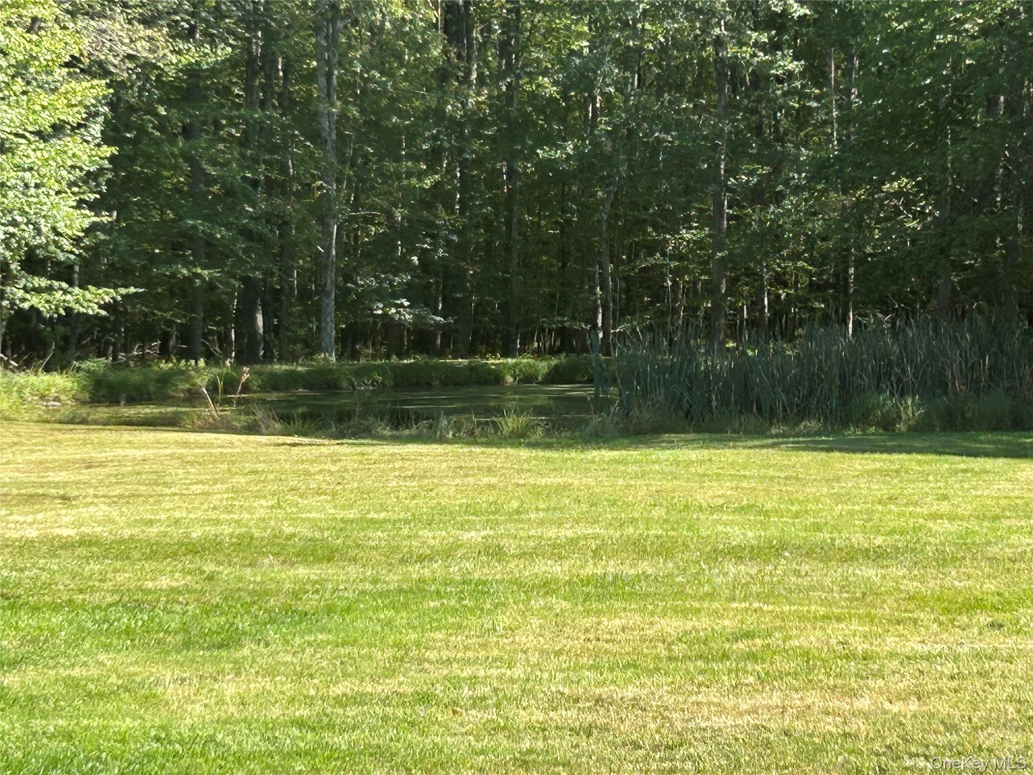 Single Family County Road 114 Sullivan County, NY 12726, MLS-910891-20