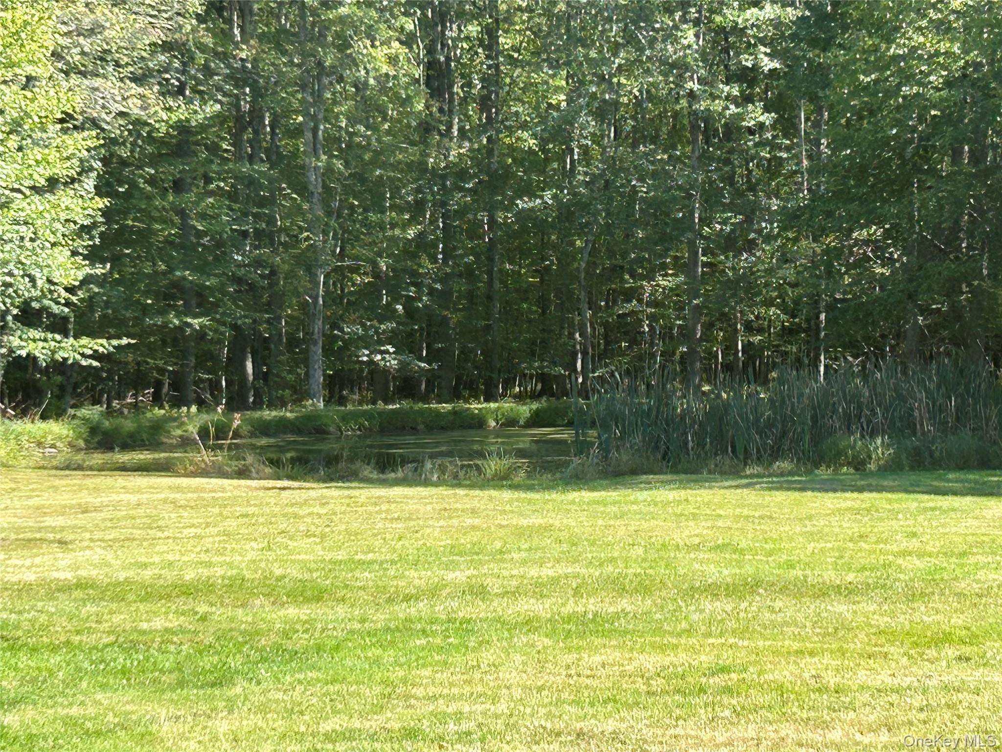 Single Family County Road 114 Sullivan County, NY 12726, MLS-910891-4