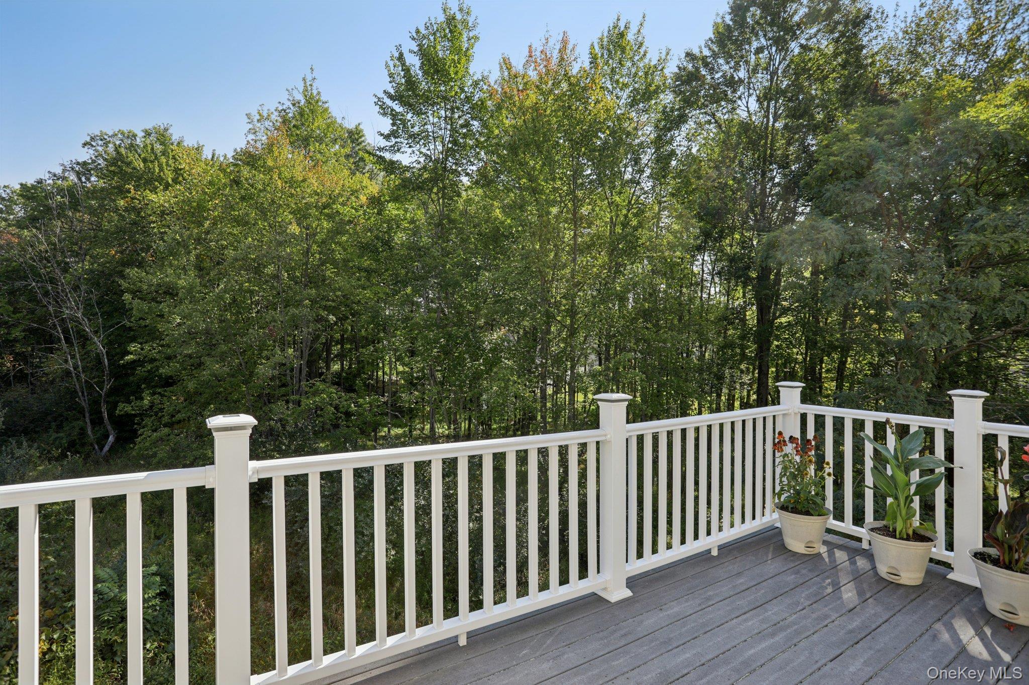 Single Family Reed  Orange County, NY 10992, MLS-910895-29