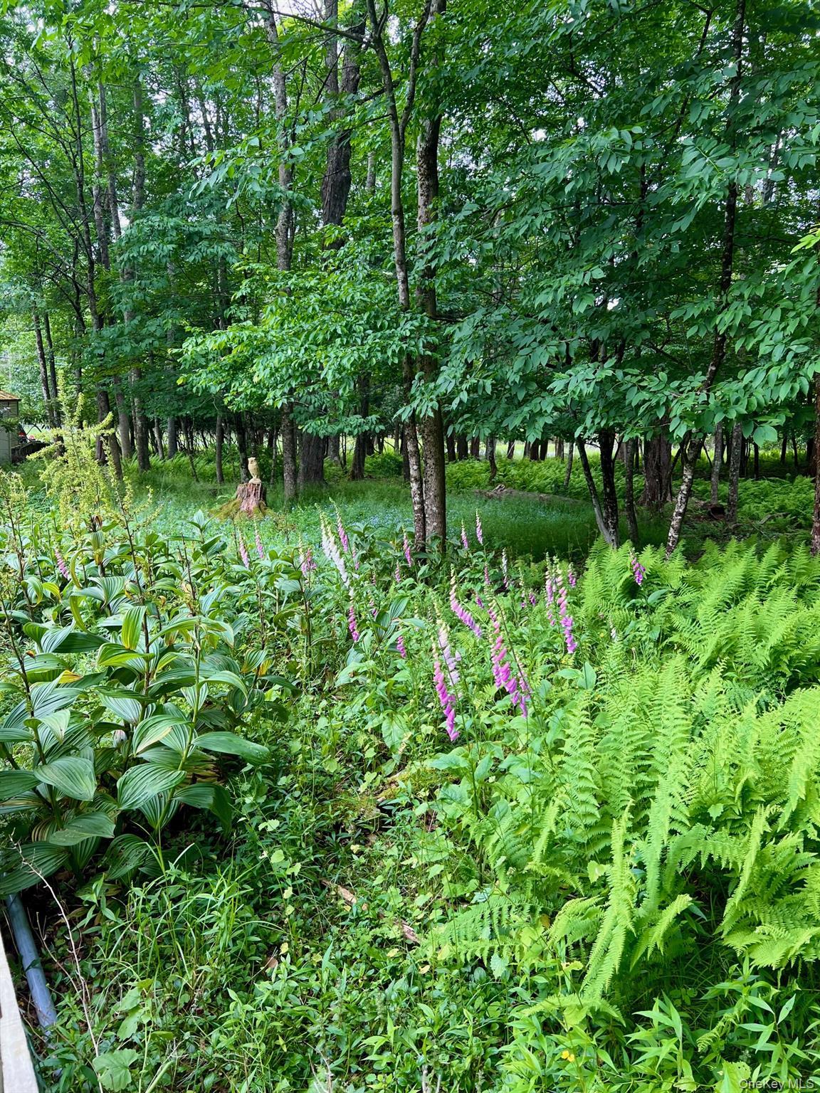 Single Family Highland  Sullivan County, NY 12778, MLS-910931-31