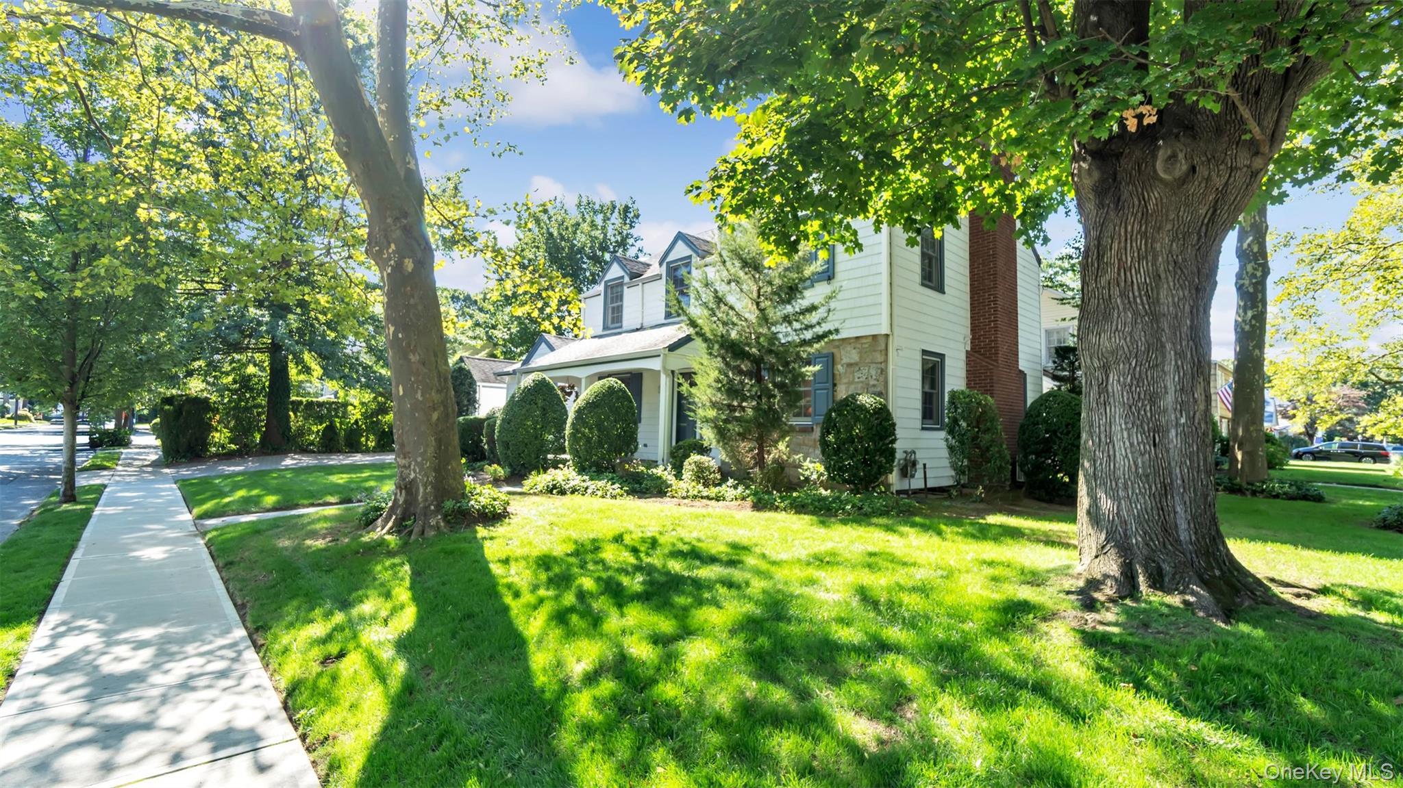 Single Family Carlton  Nassau County, NY 11565, MLS-910965-2