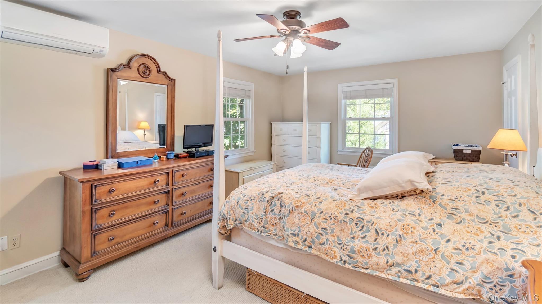 Single Family Carlton  Nassau County, NY 11565, MLS-910965-25