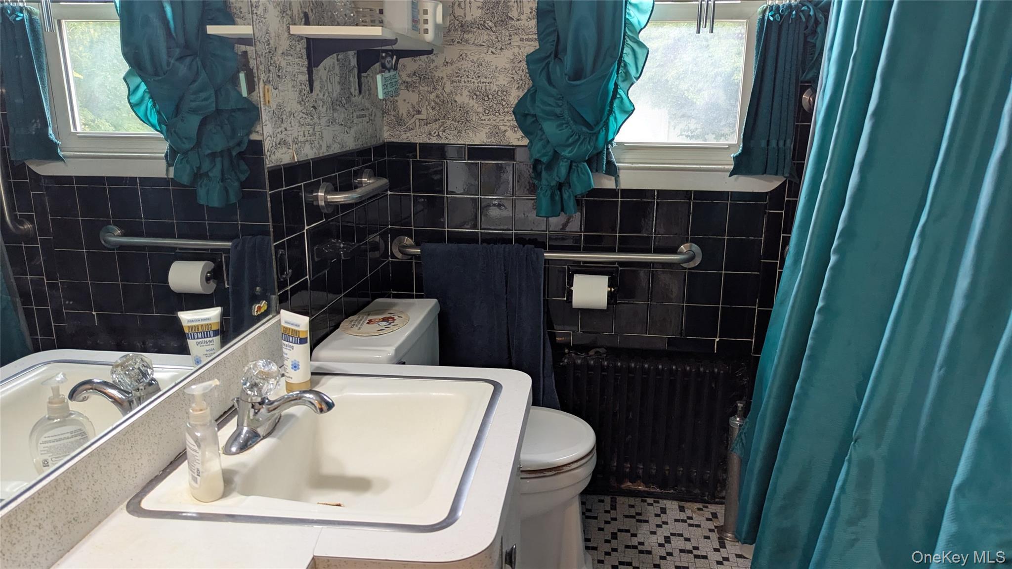 Single Family Cardinal  Nassau County, NY 11756, MLS-911012-11