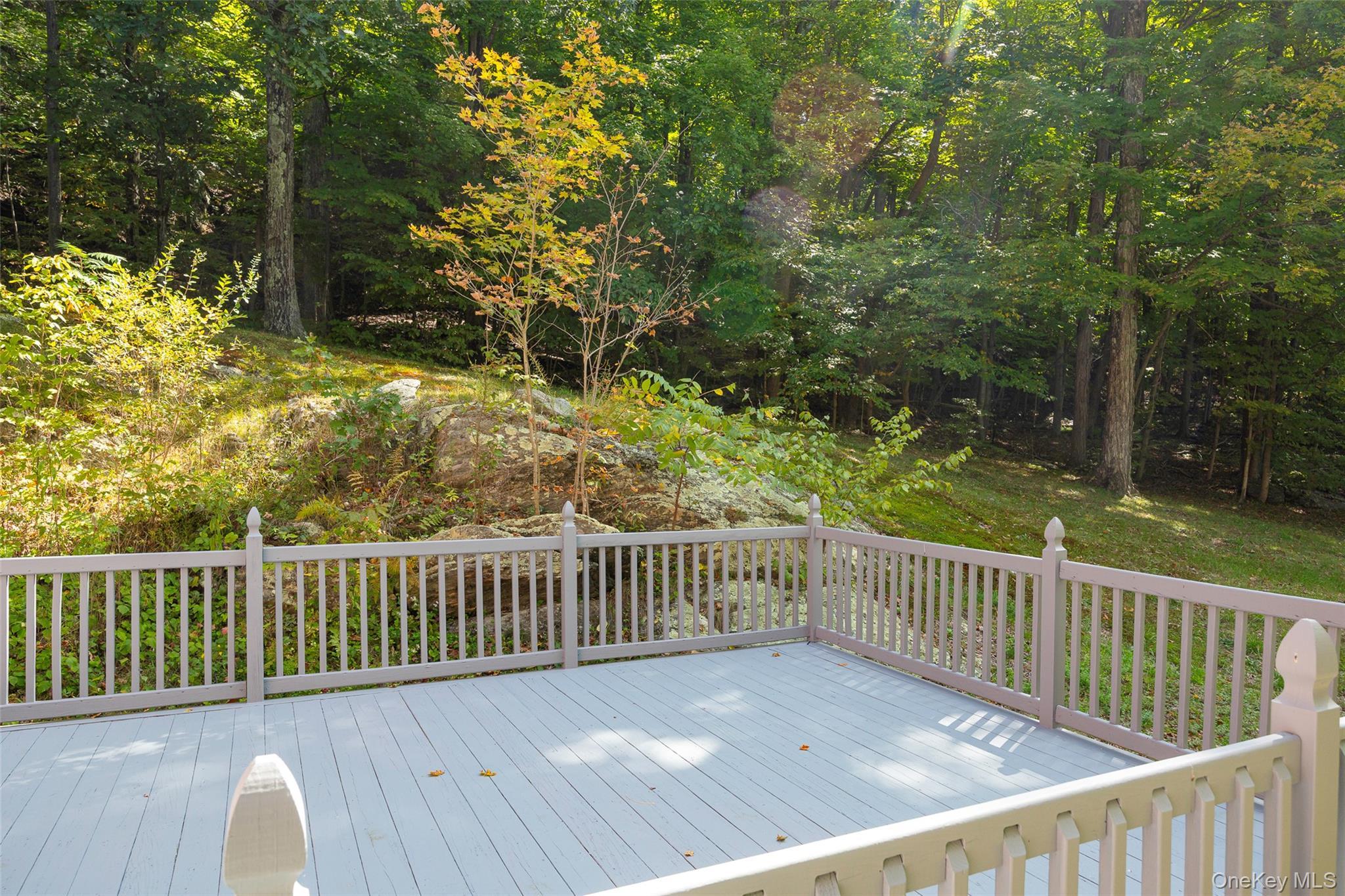 Single Family Pond Lily  Columbia County, NY 12523, MLS-911045-22