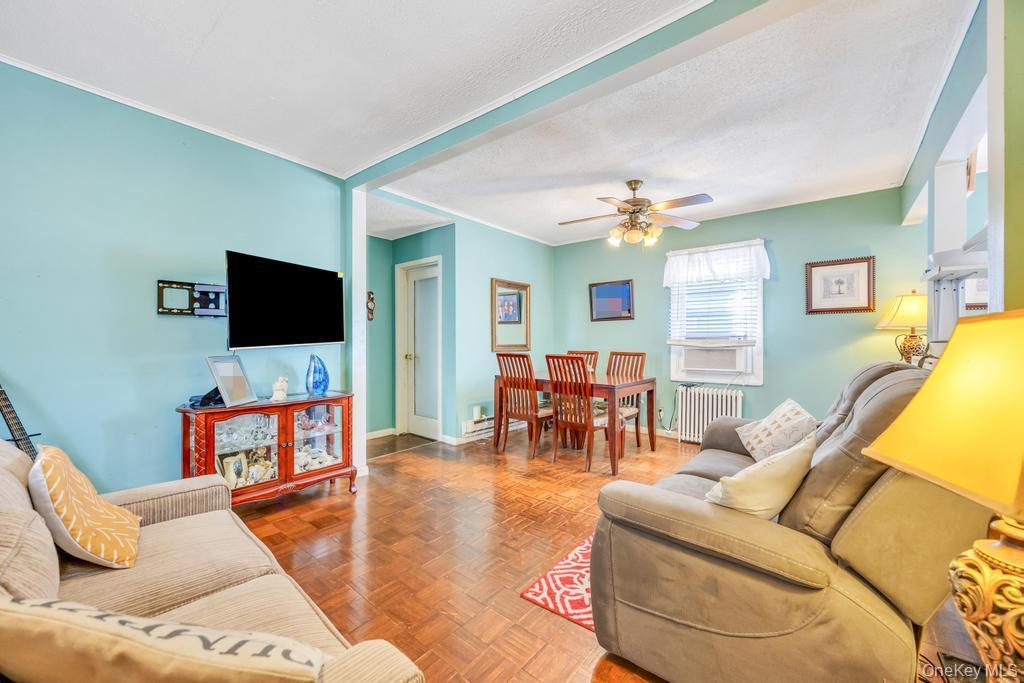 Single Family Park  Nassau County, NY 11580, MLS-911050-10