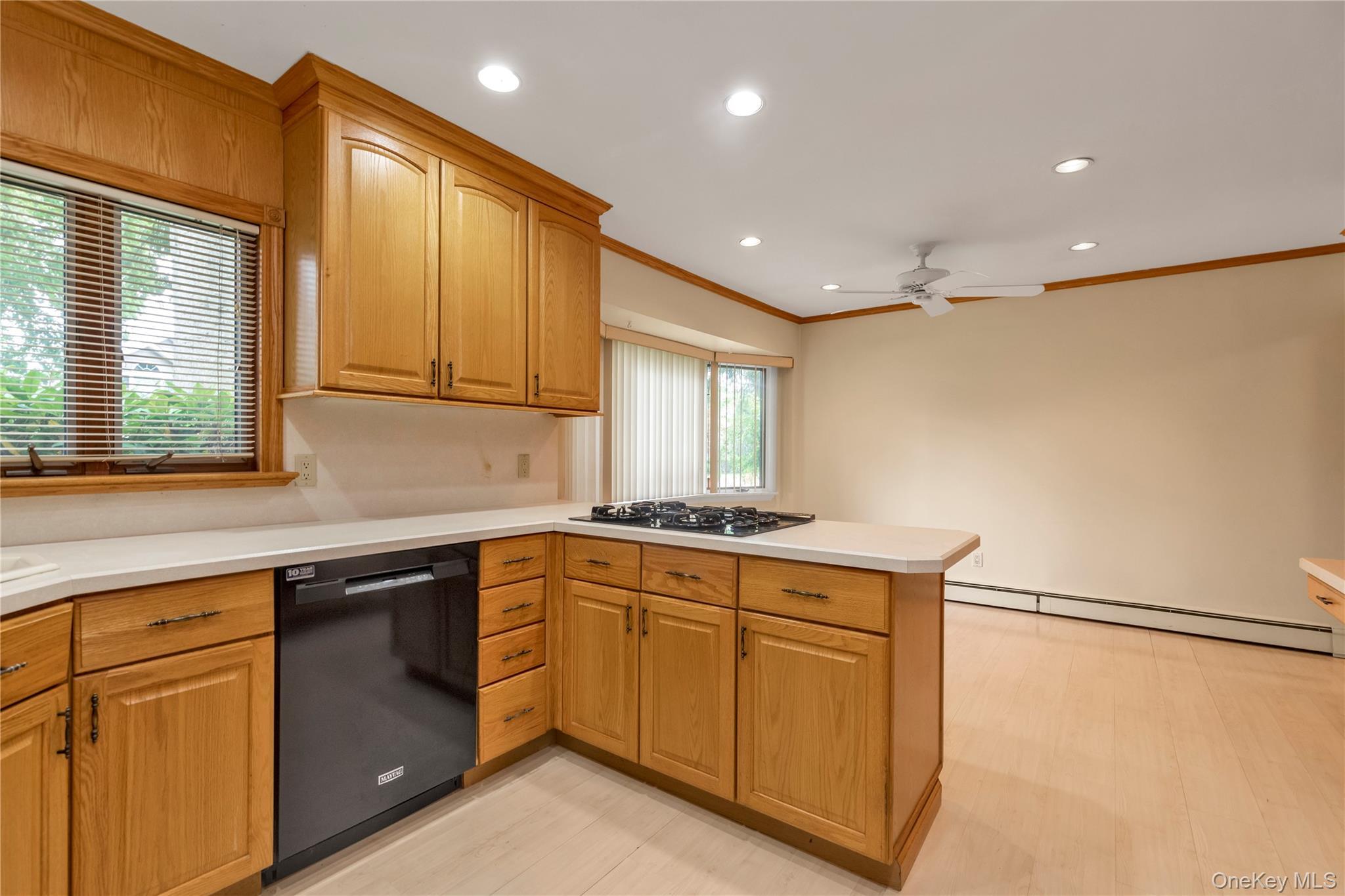 Single Family Hillturn Nassau County, NY 11577, MLS-911067-6