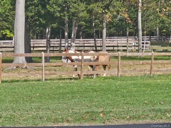 Single Family Bigert Orange County, NY 10958, MLS-911079-34