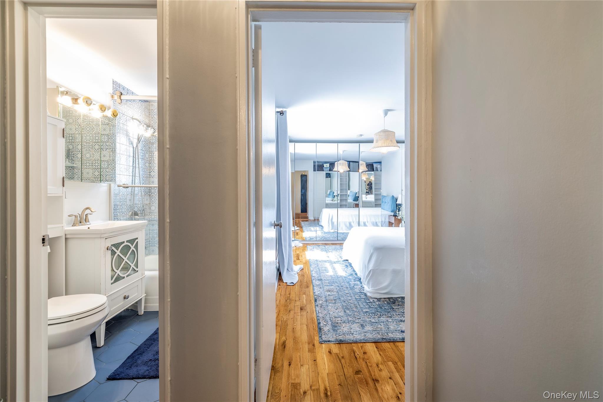 Coop Dubois  Nassau County, NY 11581, MLS-911086-12