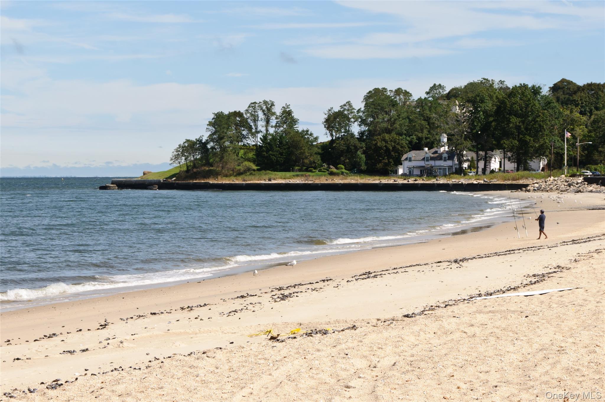 Single Family Hickory  Nassau County, NY 11709, MLS-911088-34