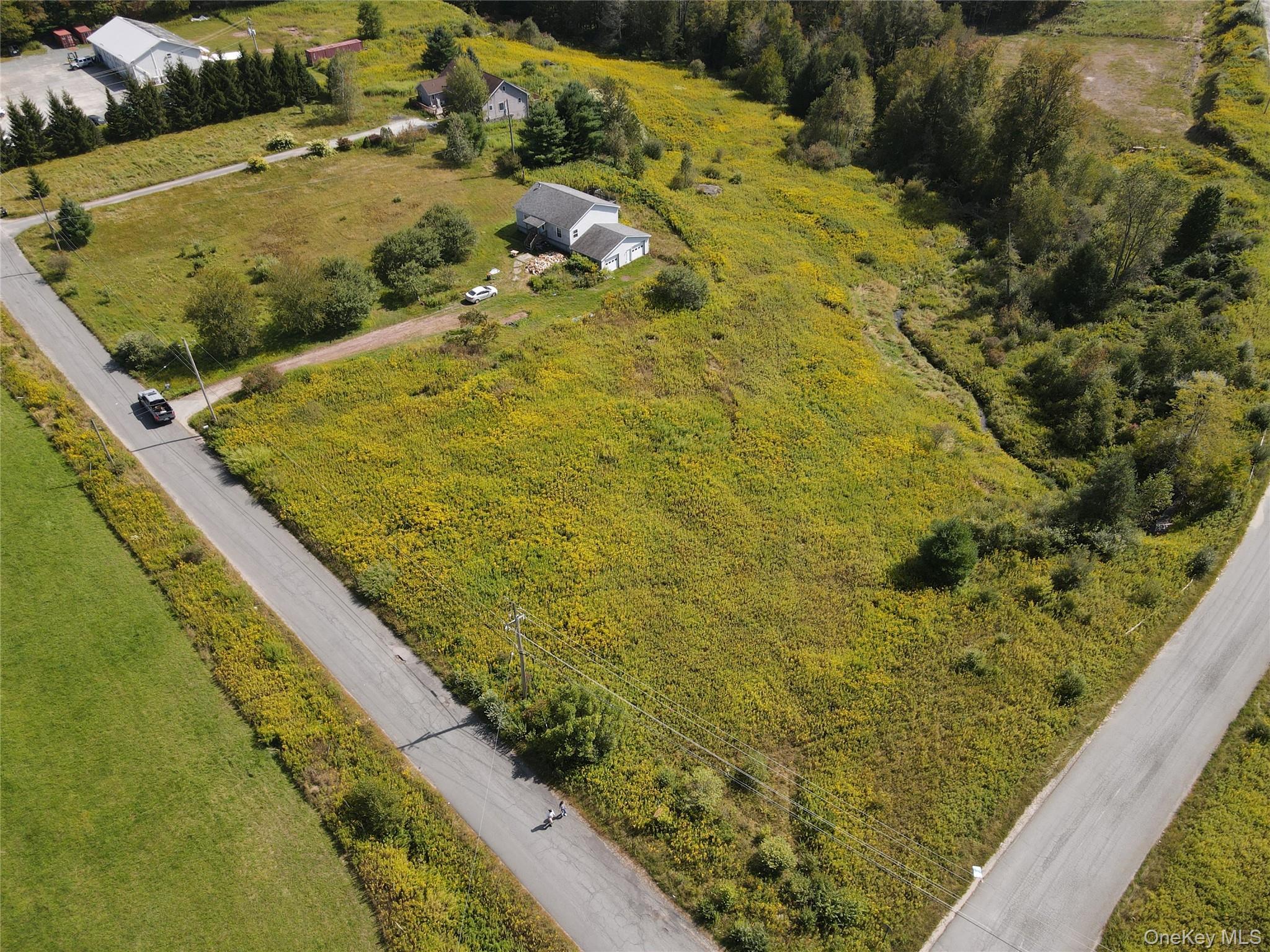 Single Family Queen Mountain Sullivan County, NY 12734, MLS-911122-19