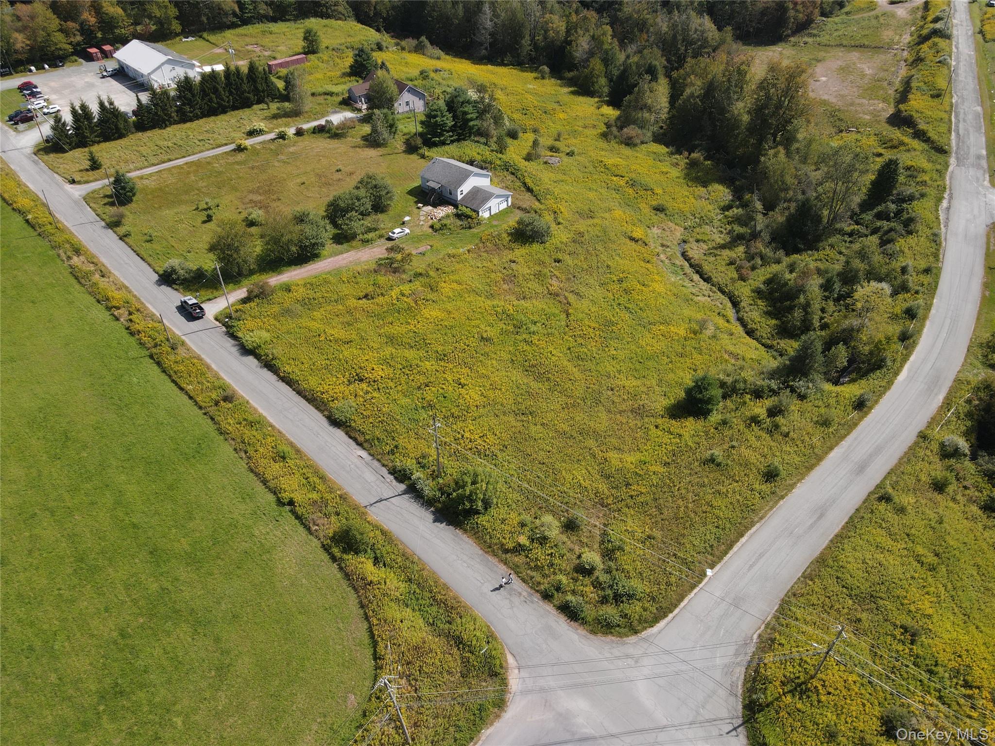 Single Family Queen Mountain Sullivan County, NY 12734, MLS-911122-2