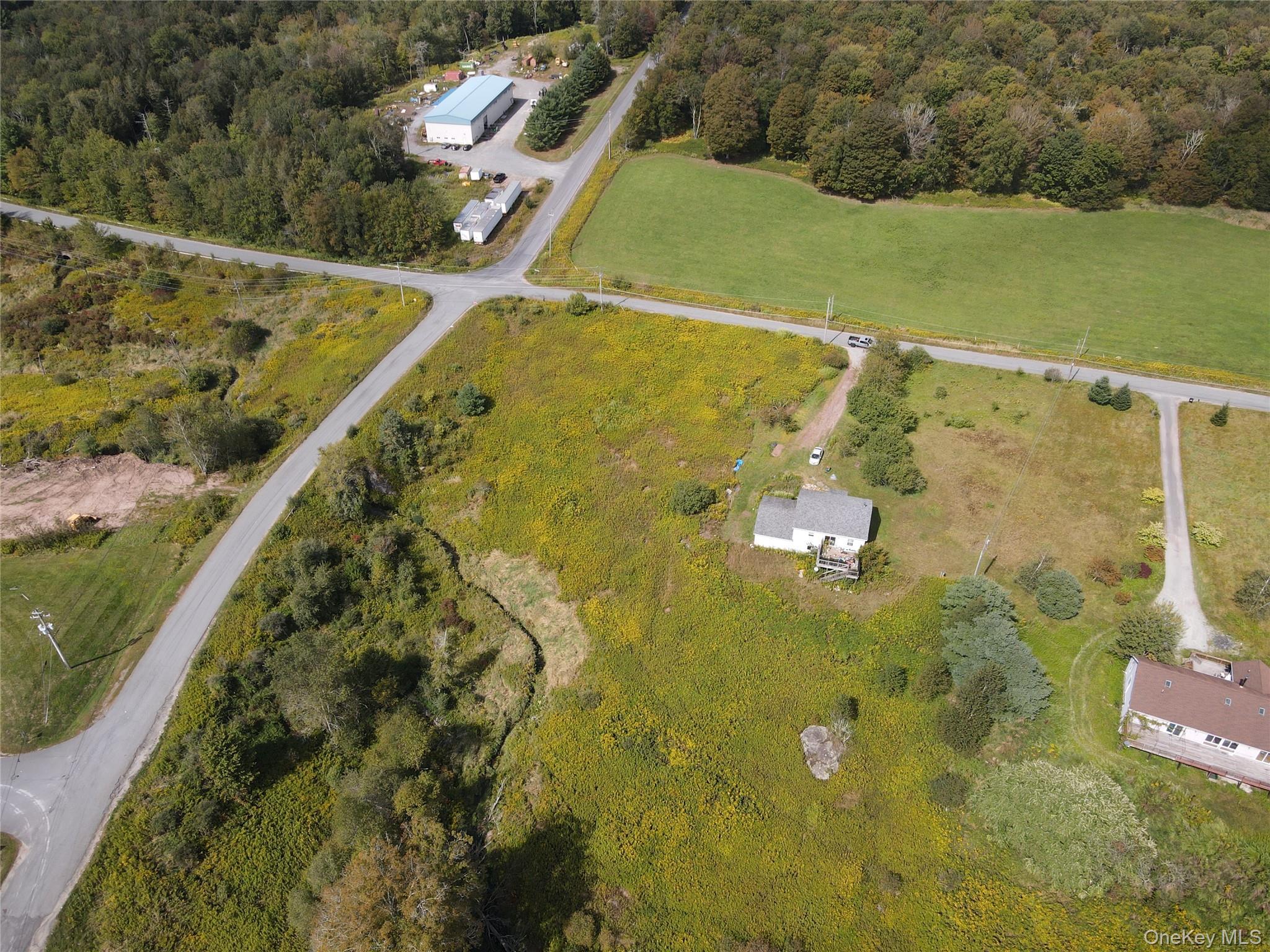 Single Family Queen Mountain Sullivan County, NY 12734, MLS-911122-4