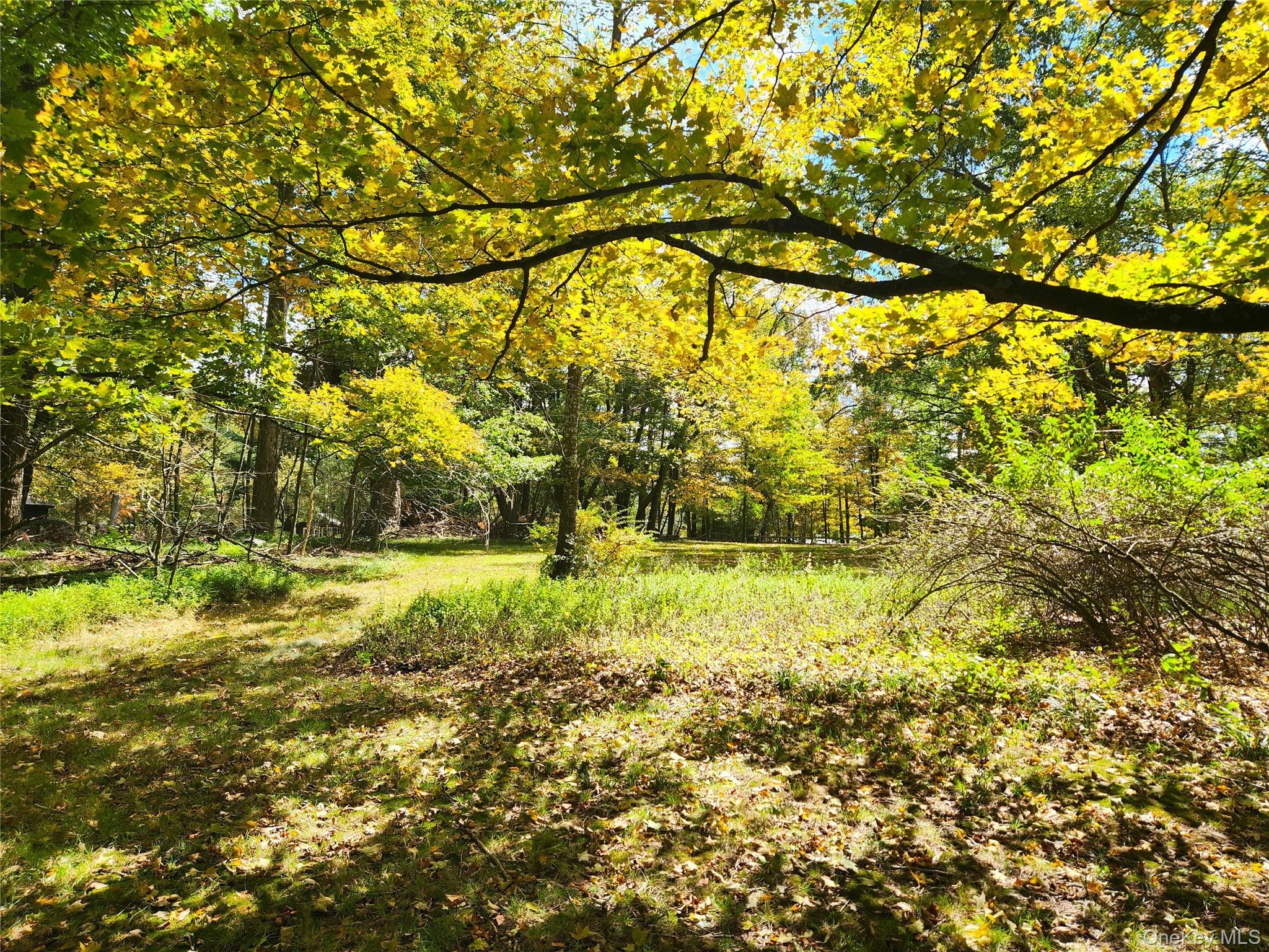 Single Family Thompson  Sullivan County, NY 12778, MLS-911124-27