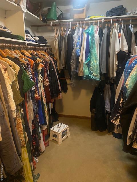 Single Family Woodland  Orange County, NY 10930, MLS-911139-24