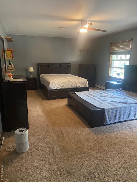 Single Family Woodland  Orange County, NY 10930, MLS-911139-29