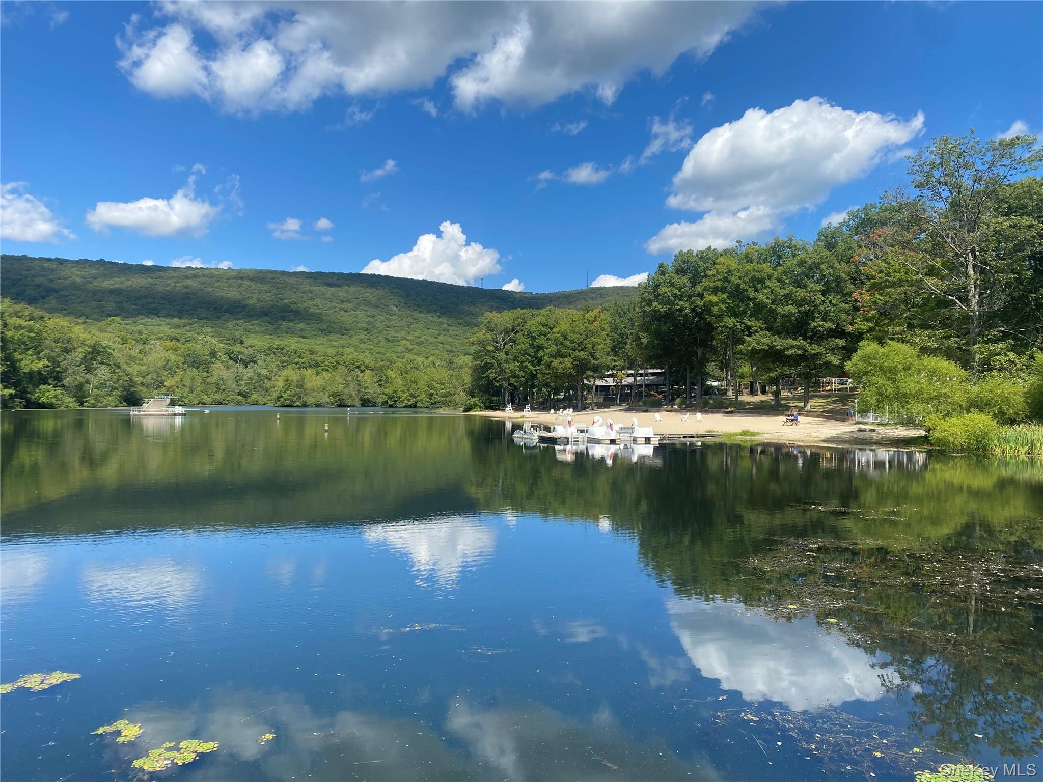 Single Family Woodland  Orange County, NY 10930, MLS-911139-46