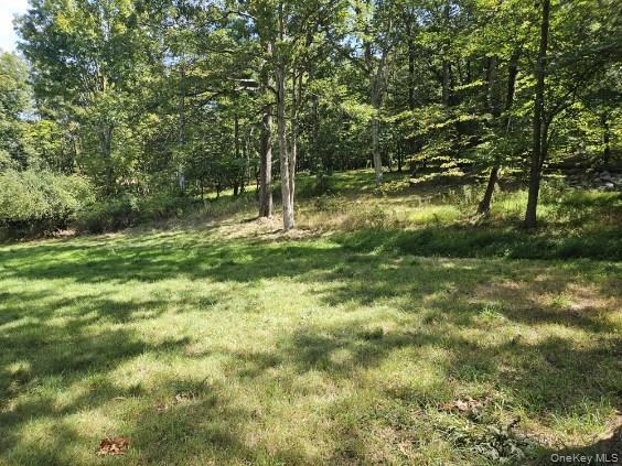 Single Family Ludlum Road  Orange County, NY 10950, MLS-911250-31