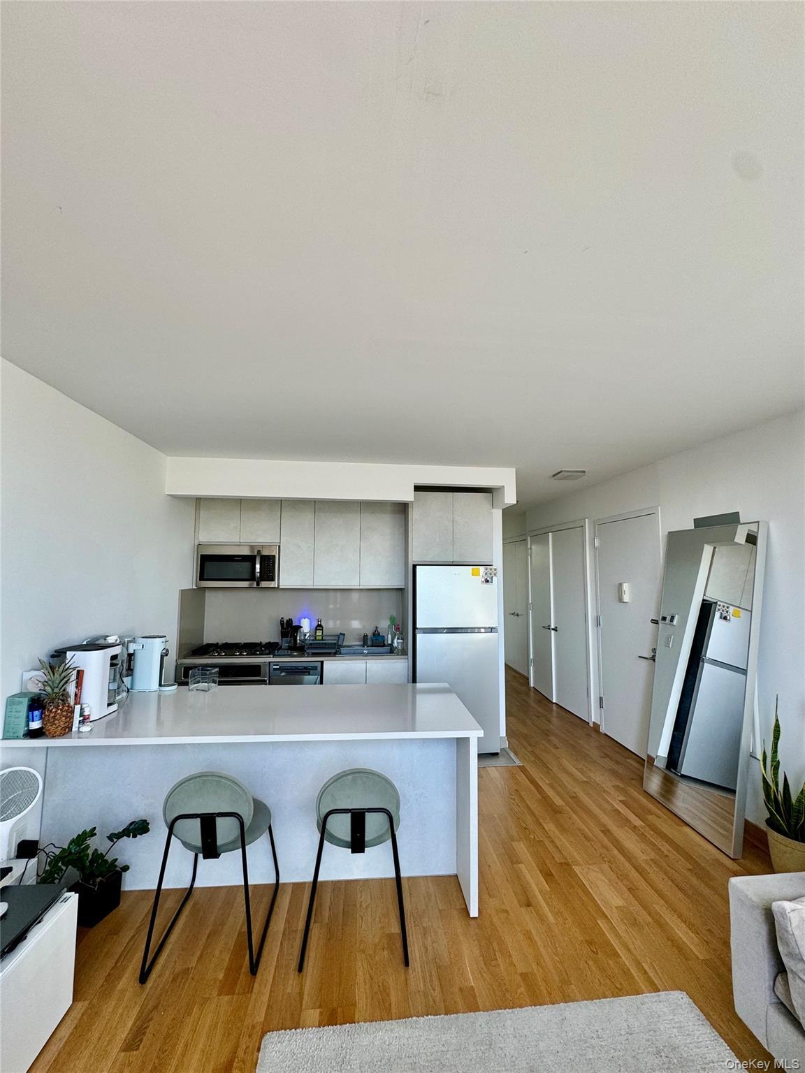 Single Family Monitor Brooklyn, NY 11222, MLS-911322-18