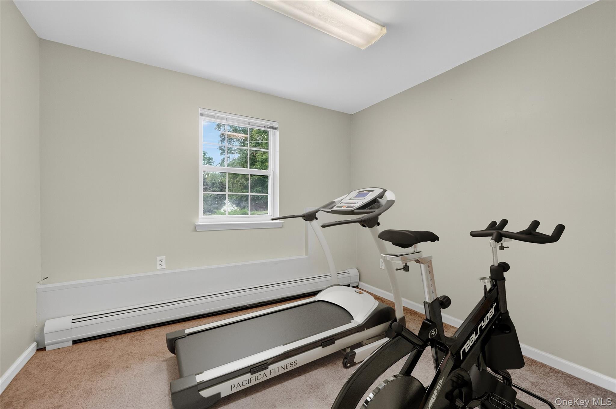 Single Family Cedar Rockland County, NY 10984, MLS-911490-29