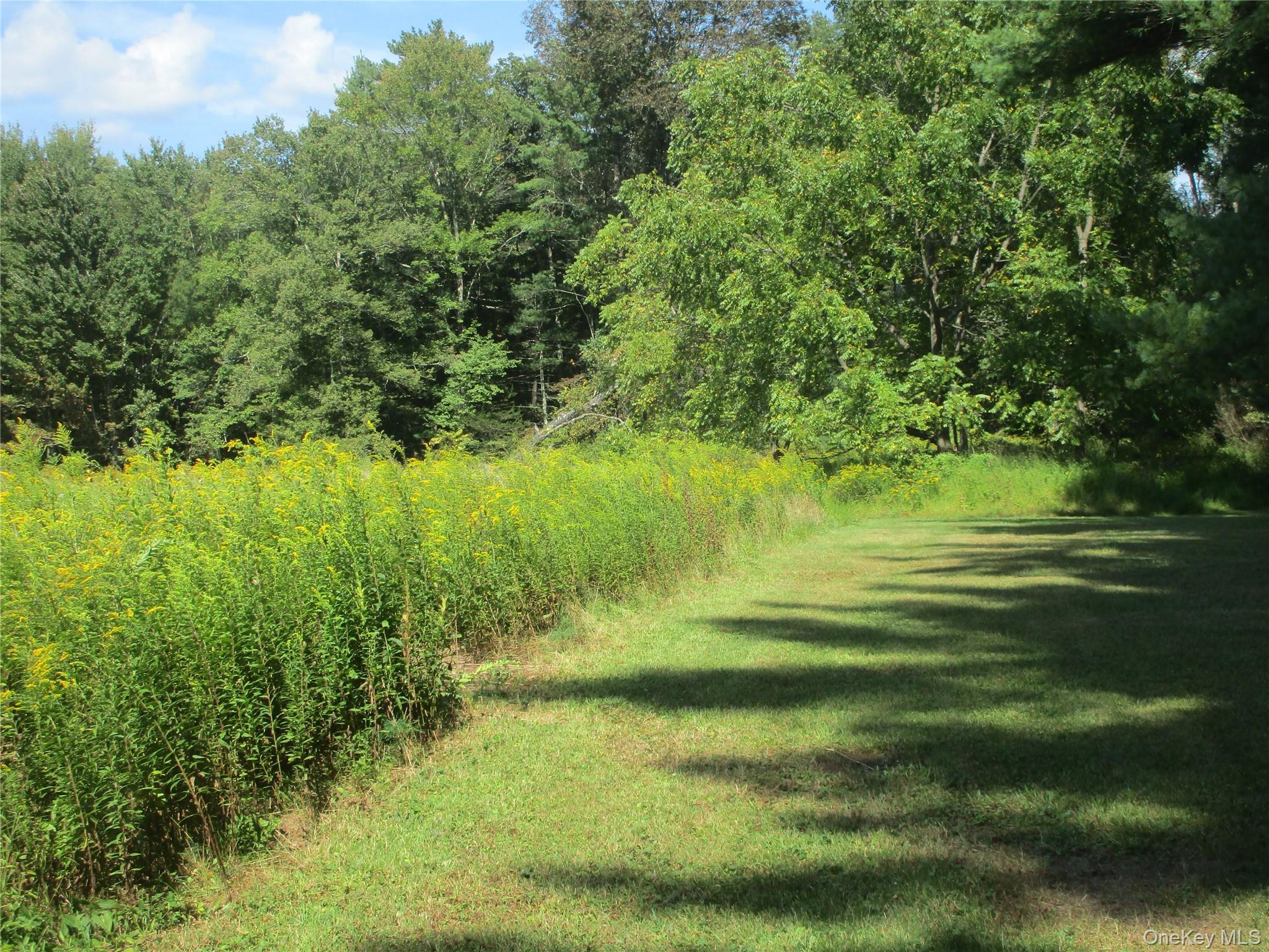 Single Family Kiernan  Orange County, NY 12729, MLS-911578-13