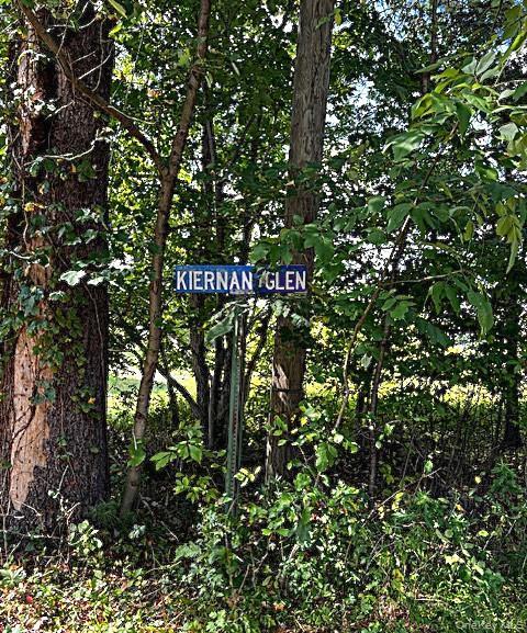 Single Family Kiernan  Orange County, NY 12729, MLS-911578-6